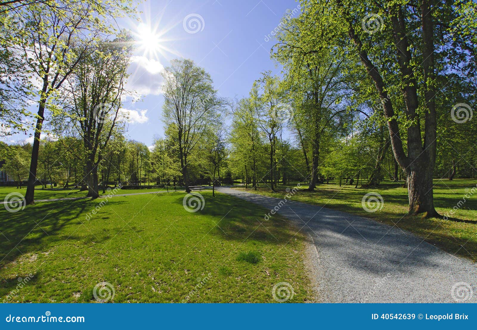 Park and bright sun stock image. Image of light, spring - 40542639