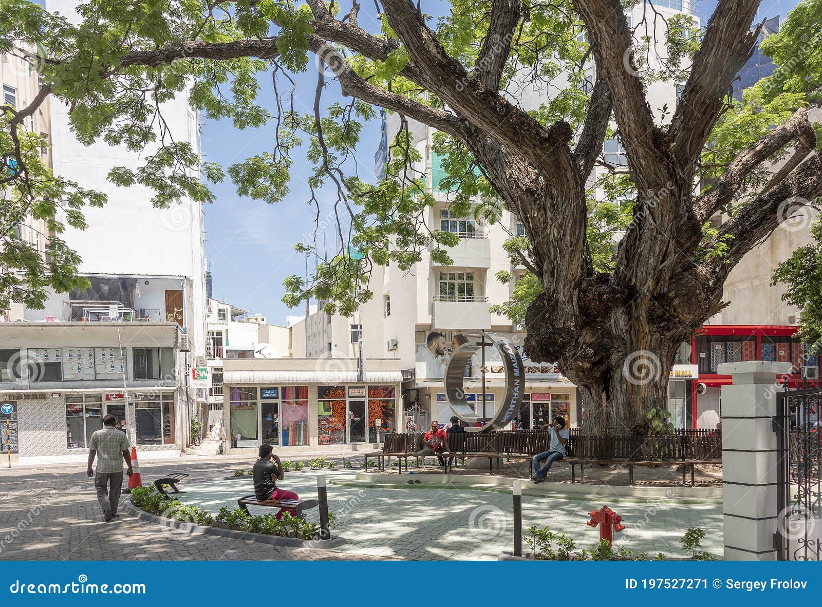 MALE, MALDIVES - APRIL 7, 2017: Park in the Center of Male, Maldives, with  a Large Tree and Vacationing People Editorial Photo - Image of huge, city:  197527271
