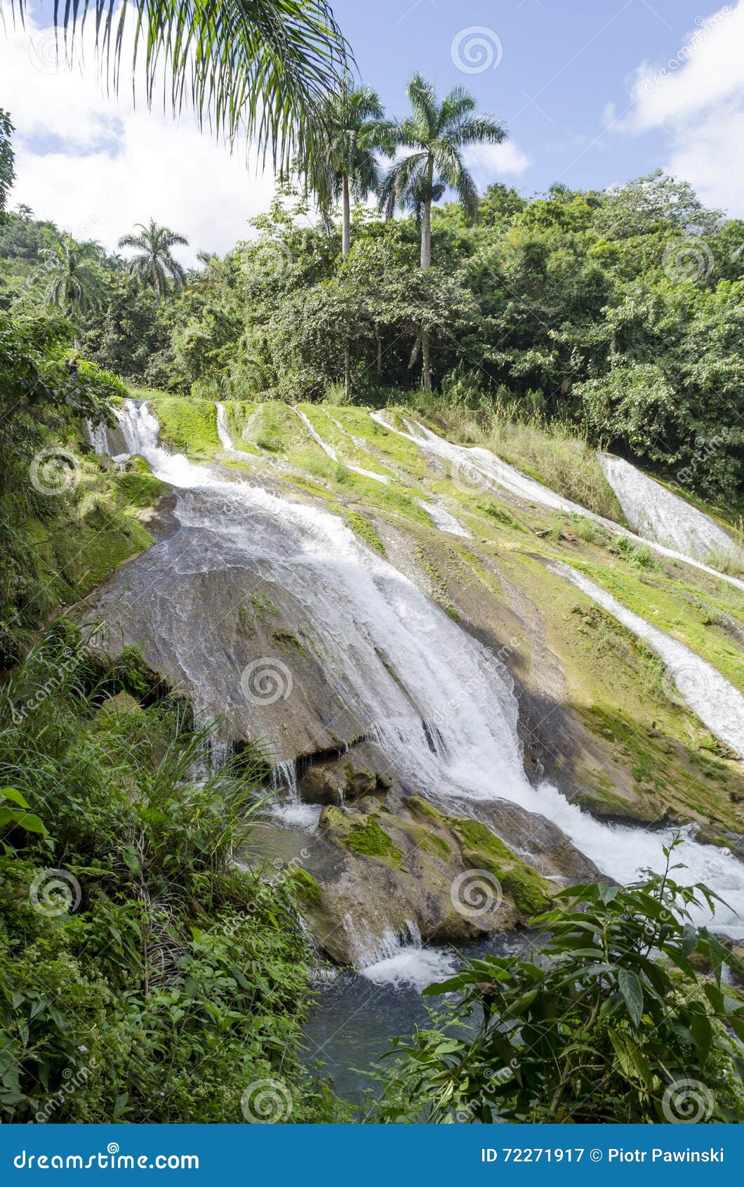 park el nicho in cuba