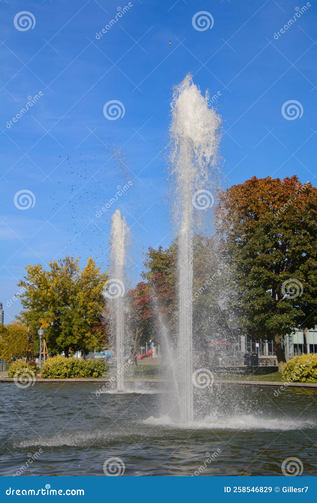 park with fall colors in the beautiful town of montreal