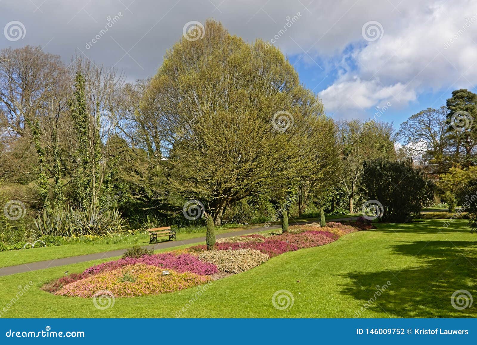 Park with Flower Bed and Many Different Trees in Dublin Botanic Gardens in Spring Editorial