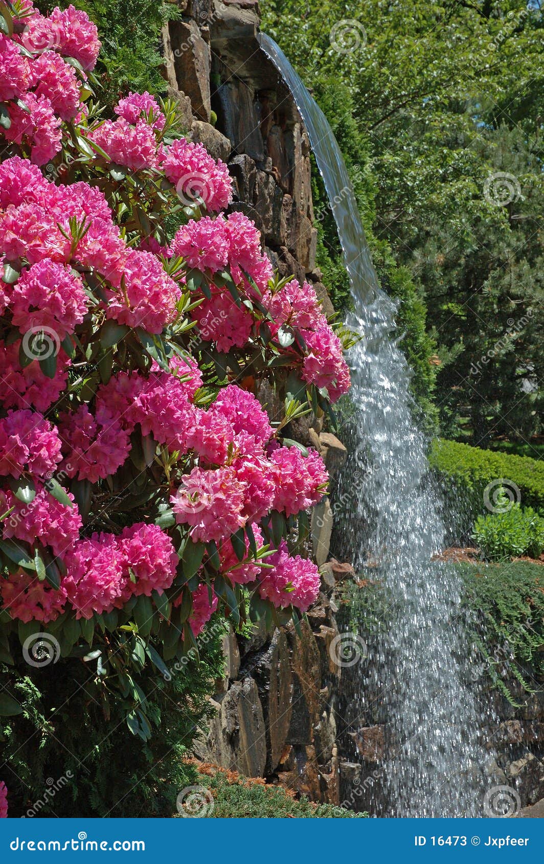 Park Flowers & Waterfall stock image. Image of recreation - 16473