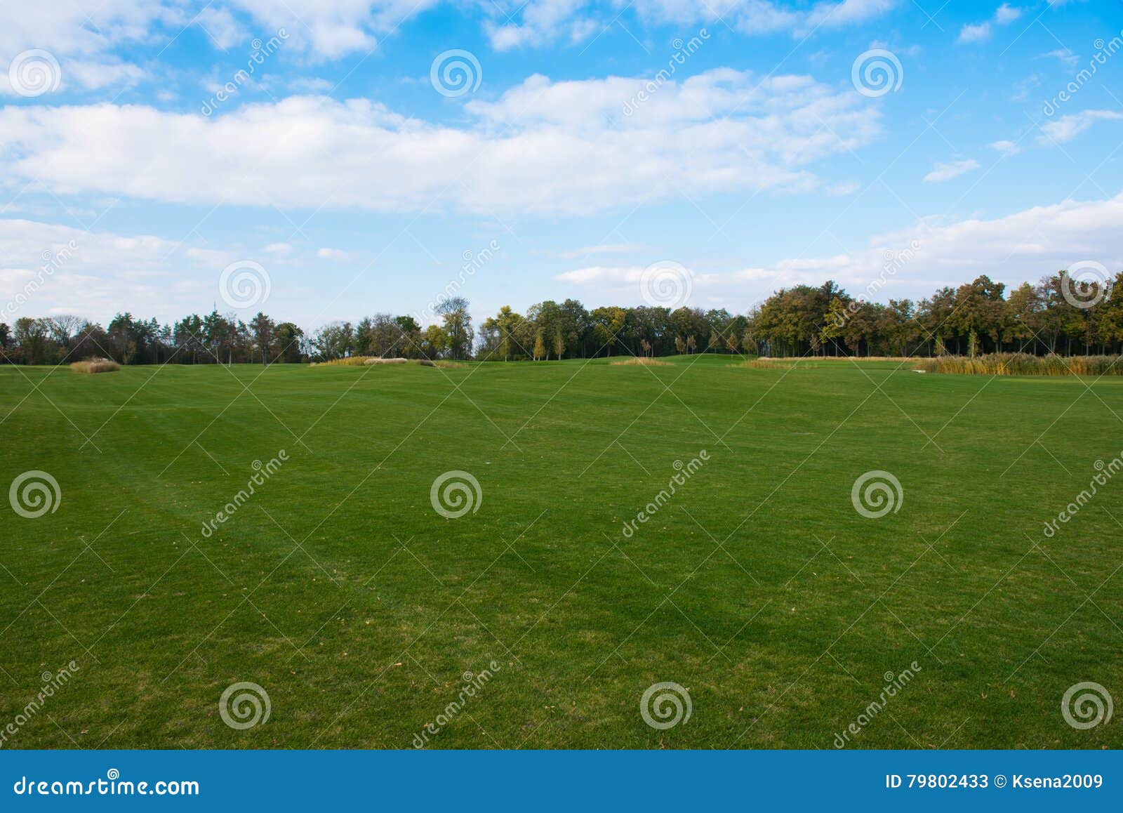 Park with a golf course stock image. Image of flag, drive 79802433