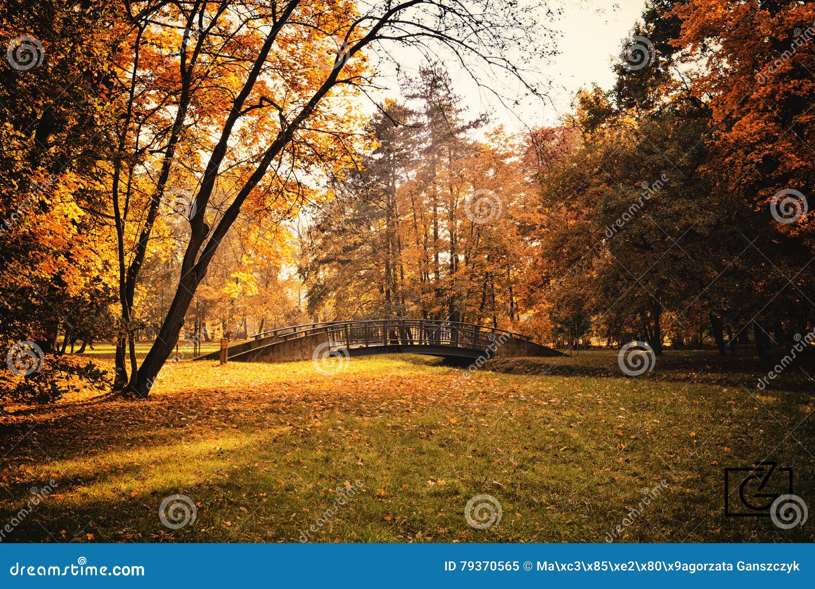 Park im Herbst. Leavs, Brücke, Bäume