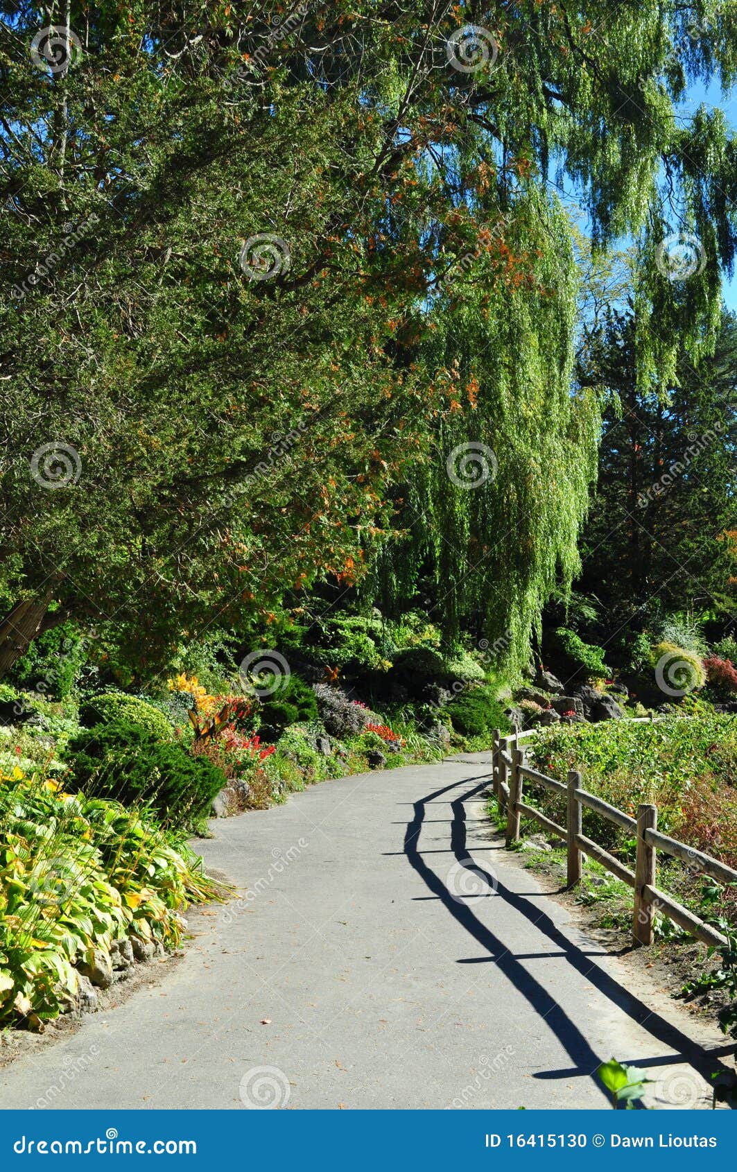 Park Landscape stock photo. Image of green, walkway, edwards 16415130