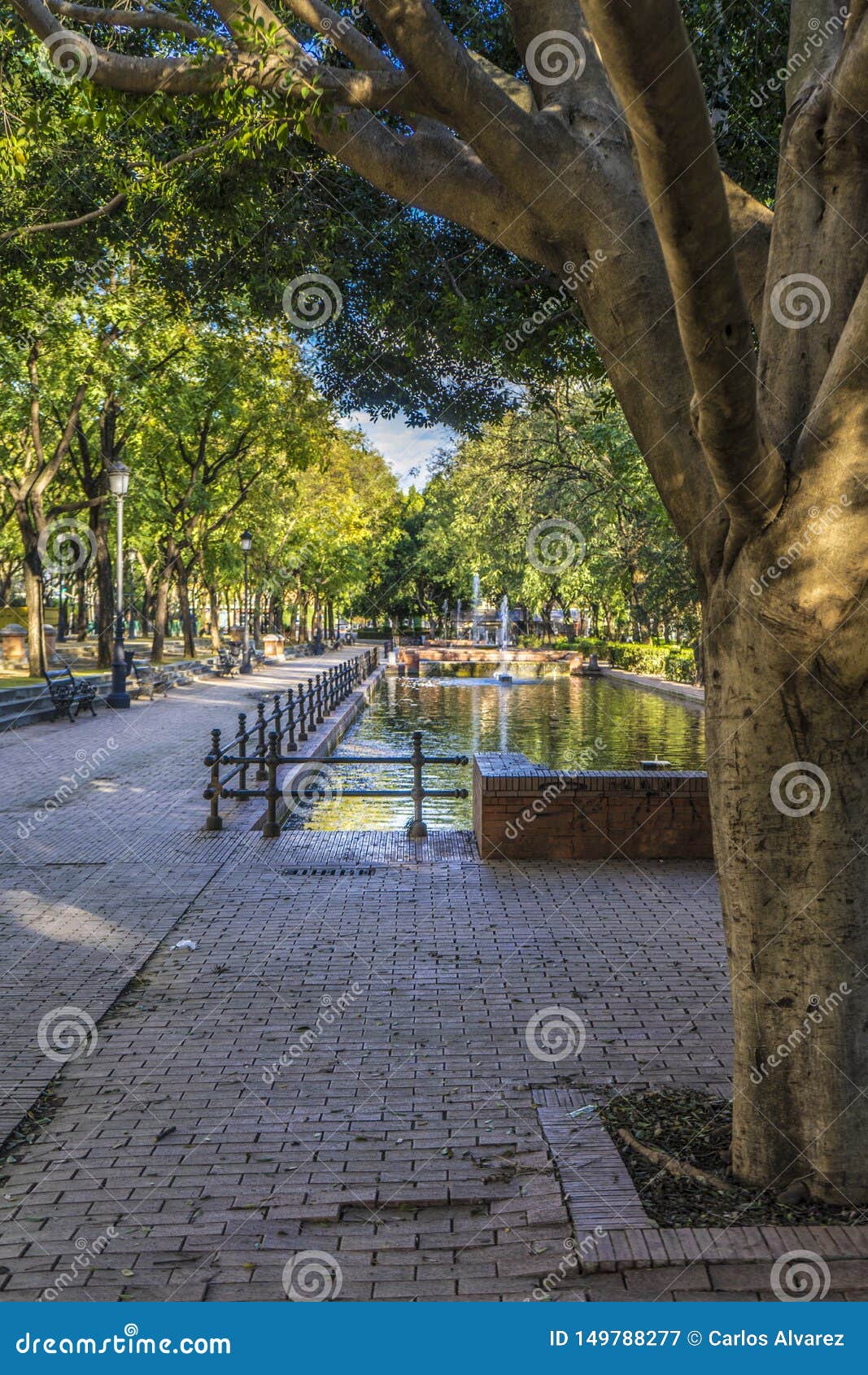 Park mit Teich stockbild. Bild von sitz, garten, szenisch 149788277