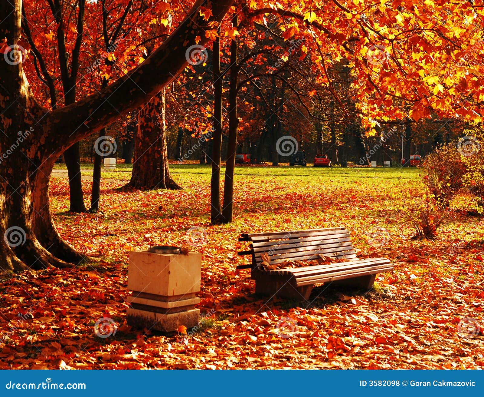 Park in November stock photo. Image of peaceful, october - 3582098