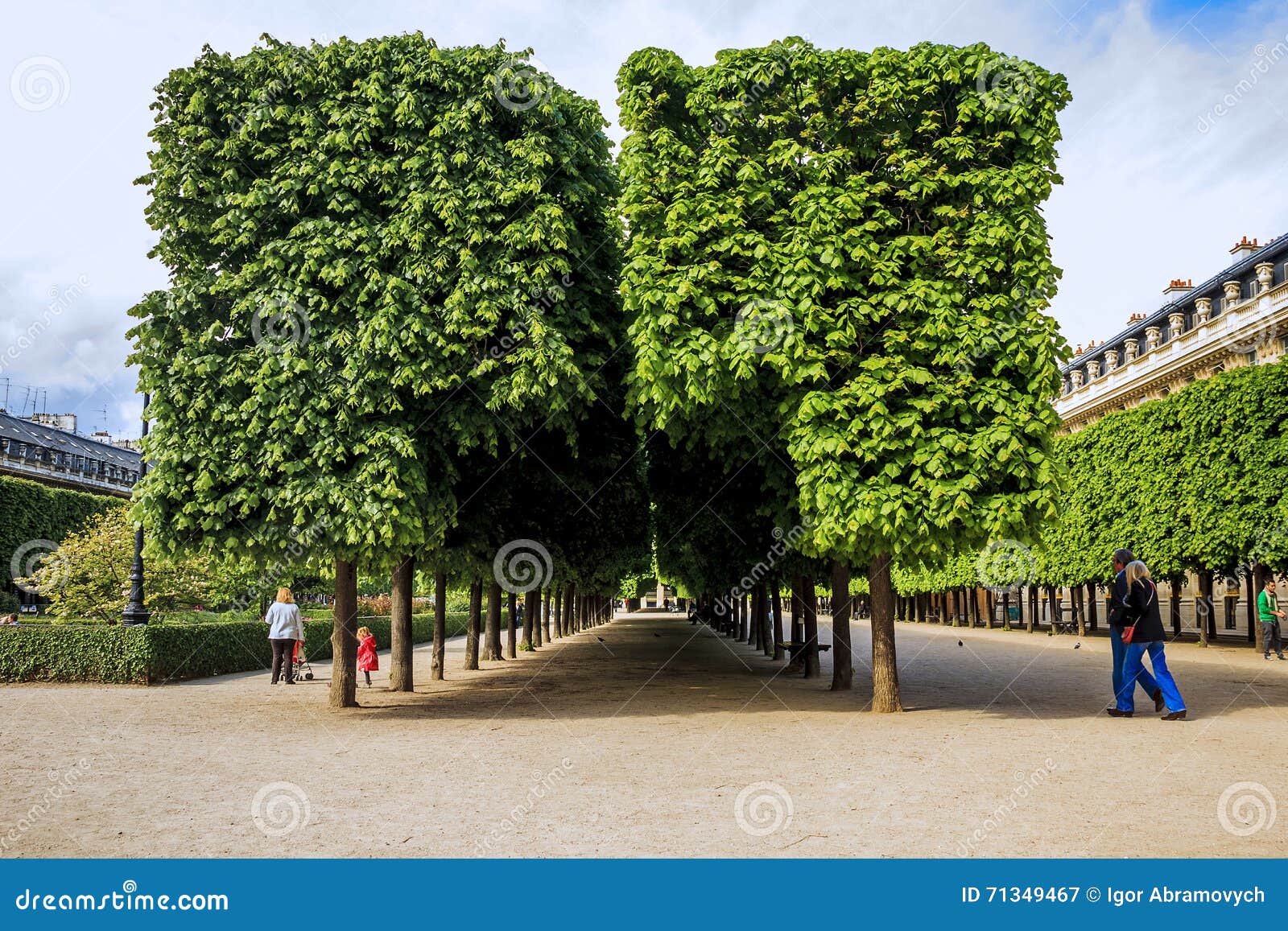 Park Of The Palais Royal In Paris Editorial Photography Image Of