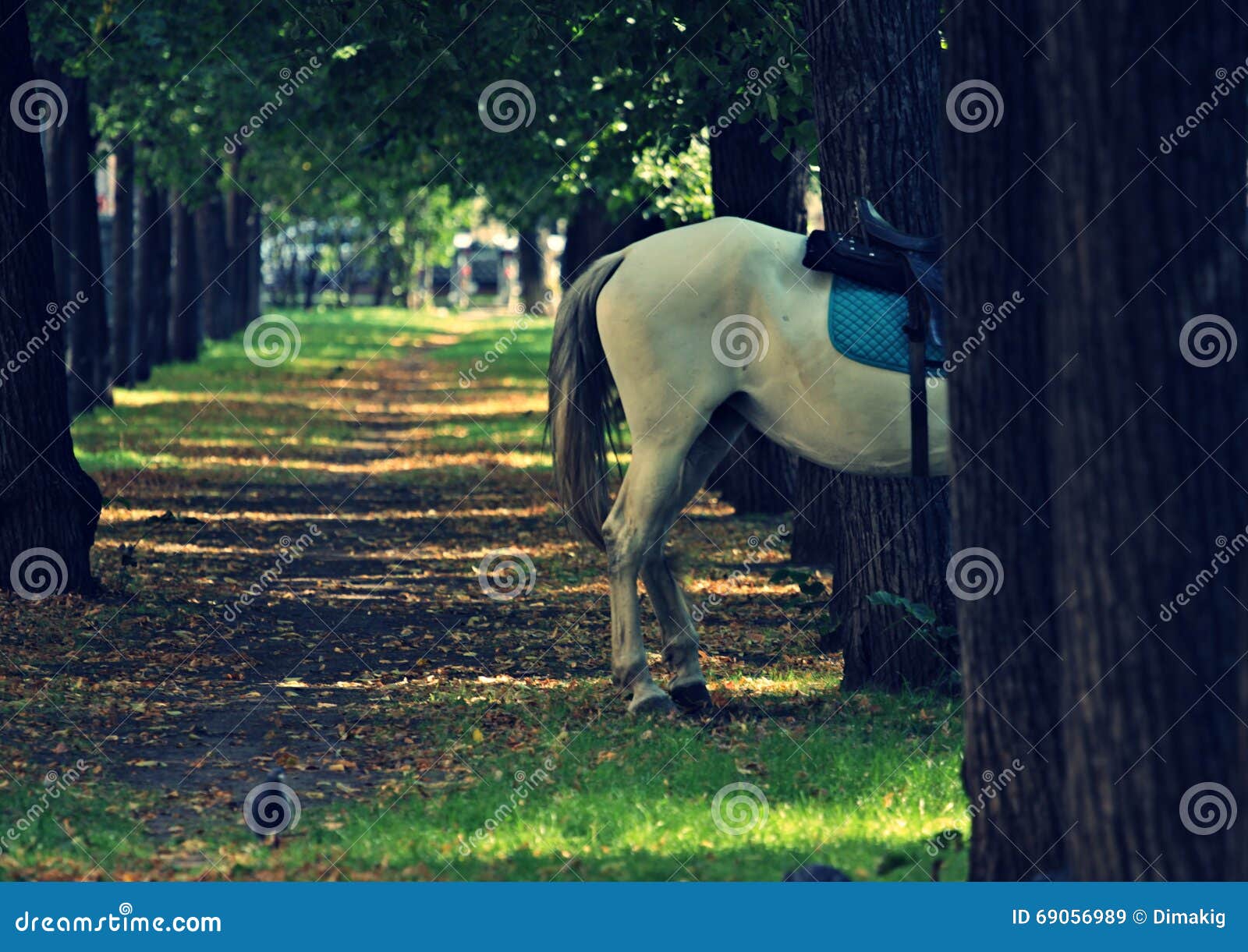 Half Horse Half Fish, A Mythical Creatures Of Asian At Sanam Luang