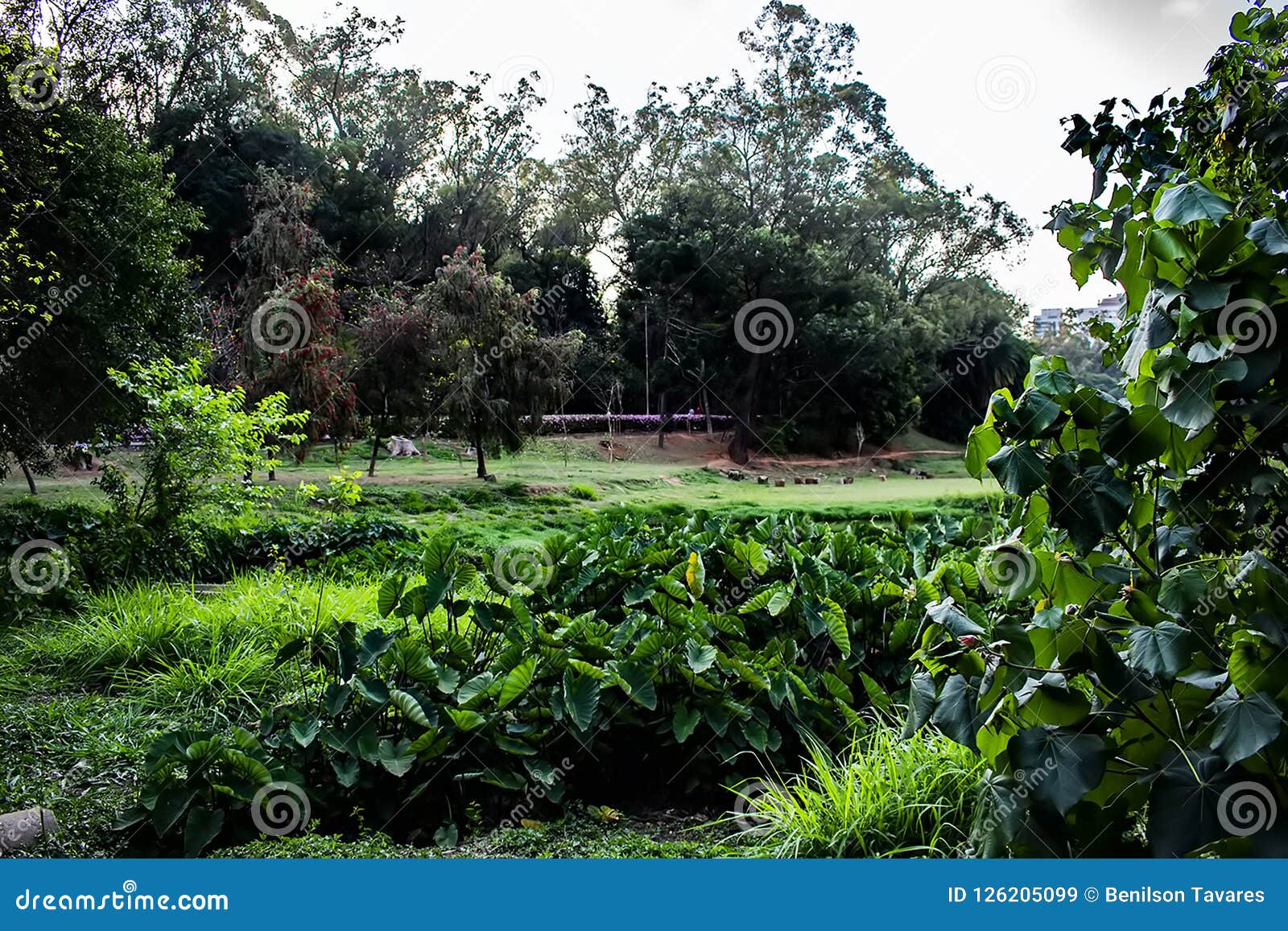park in sao paulo capital with the name aclimacao