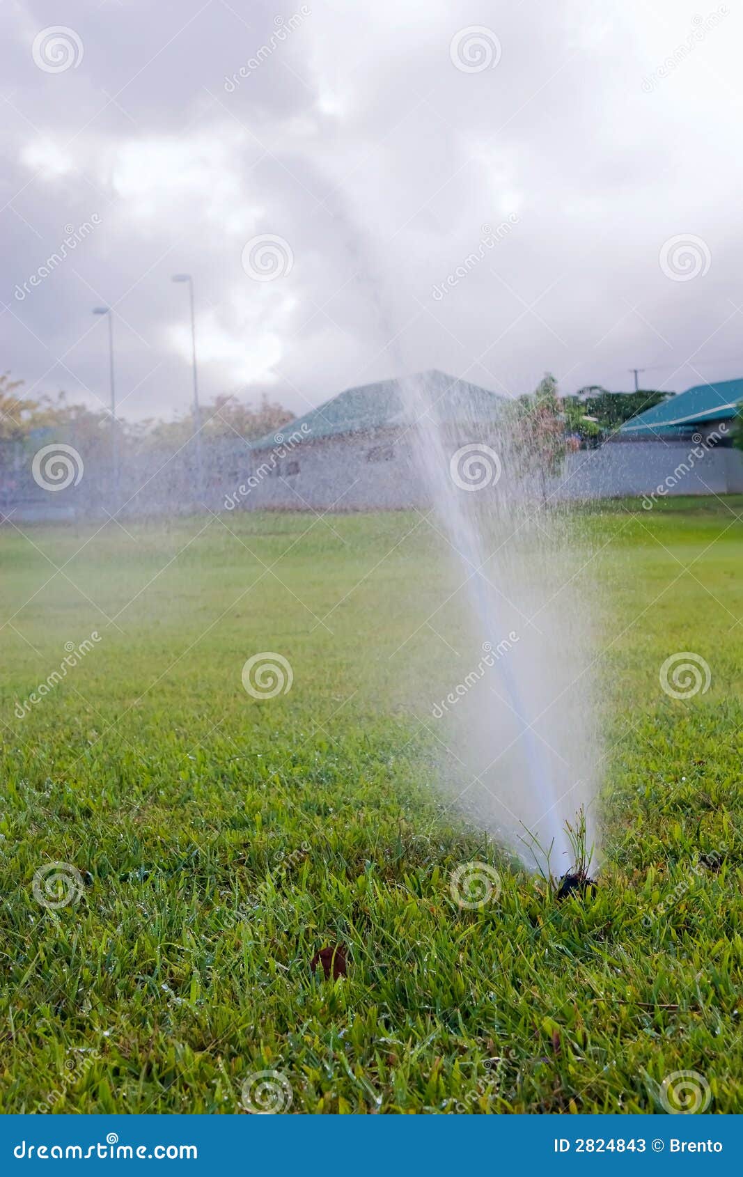 Park Sprinkler stock image. Image of organic, agriculture 2824843