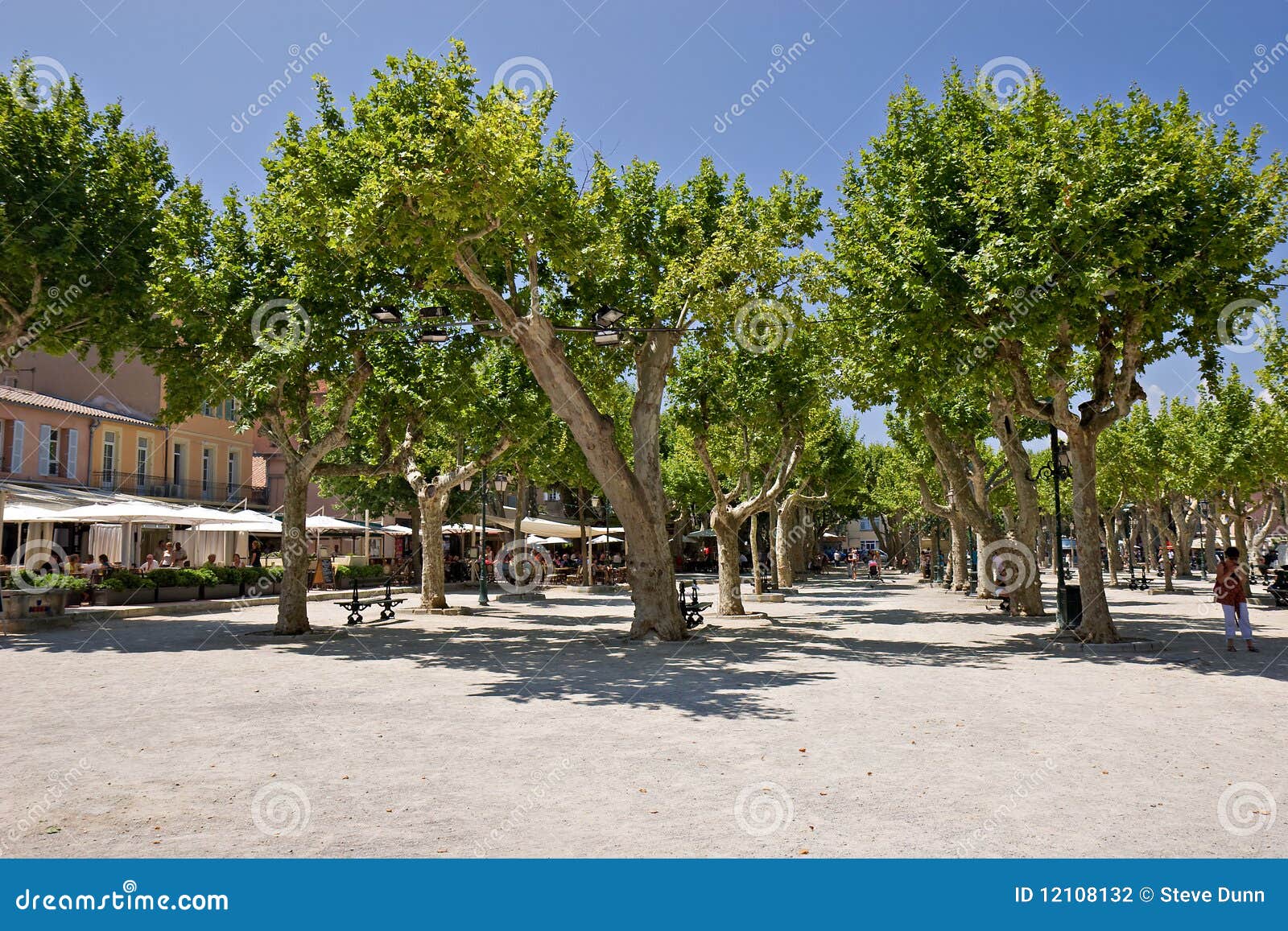 Park st-Tropez stock foto. Image of zonnig, bomen, rust - 12108132