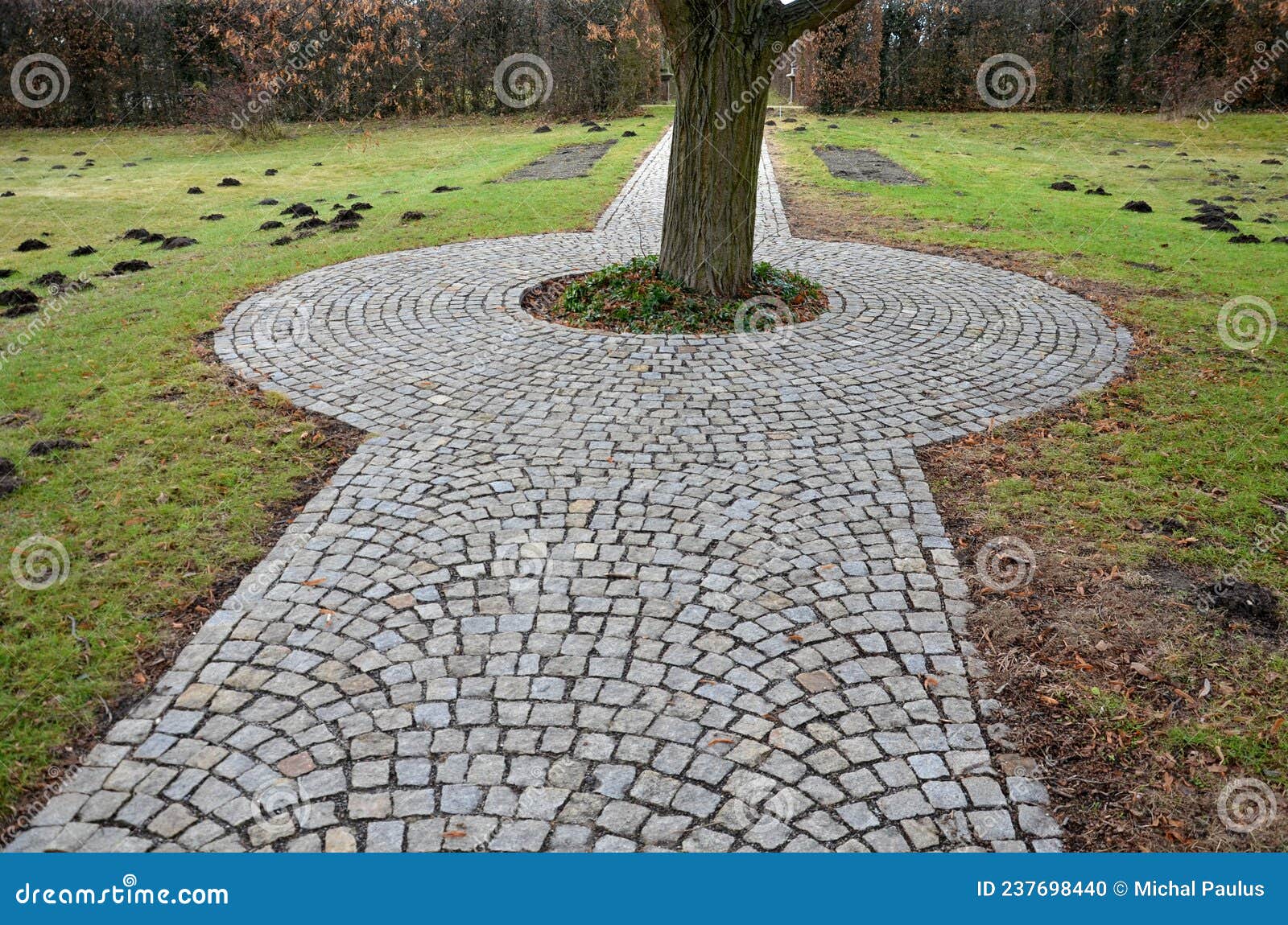 in the park there is a path surrounding a tree growing directly in the compositional axis of the historic garden. the cobblestones