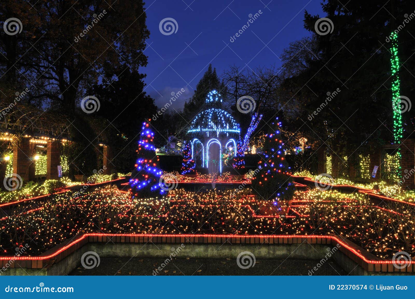 Park and Tilford Gardens Christmas Lights Stock Photo Image of flower