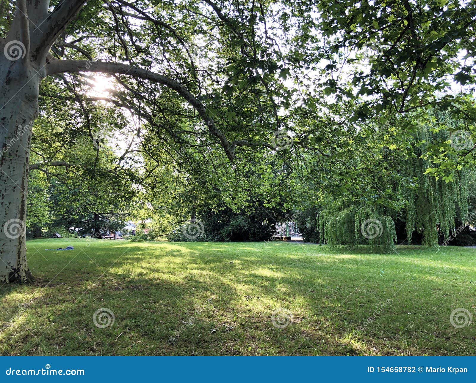 Park and Trees on the Island of Flowers Flower Island Mainau on the ...