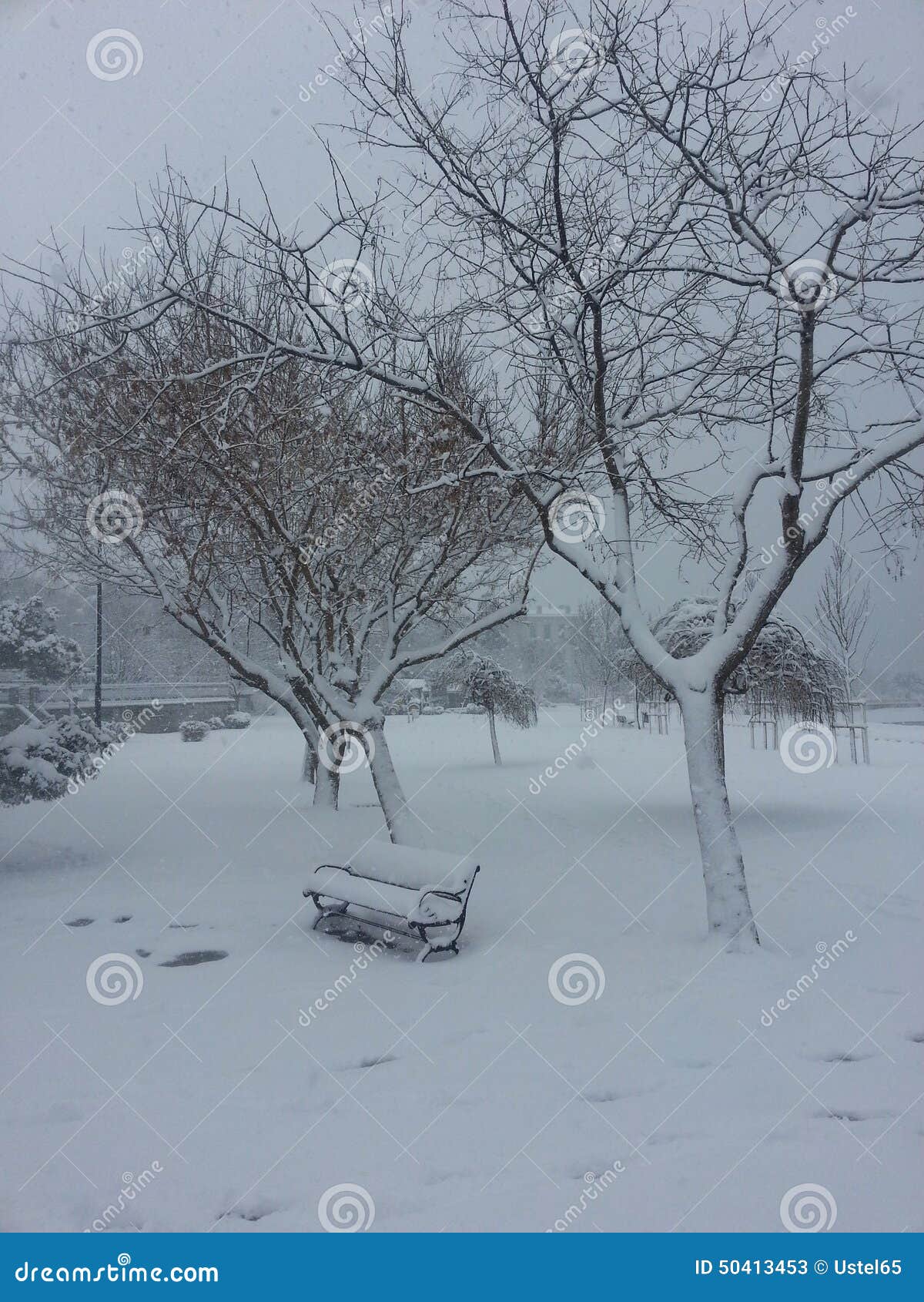 Parkbench在公园. 在雪盖的长凳在公园在冬天期间