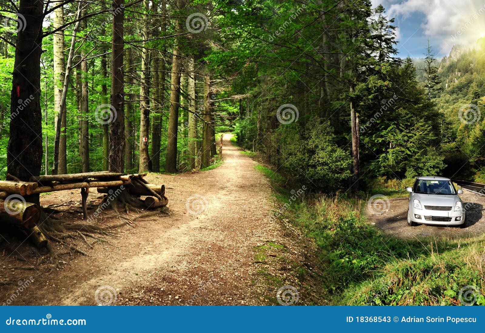 Parked Car In A Scary Forest In The Mountains Stock Photos 