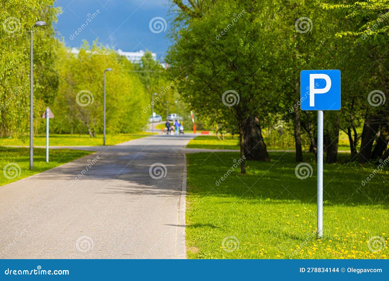 Parking Area in City Park in Summer Stock Photo Image of zone, rule