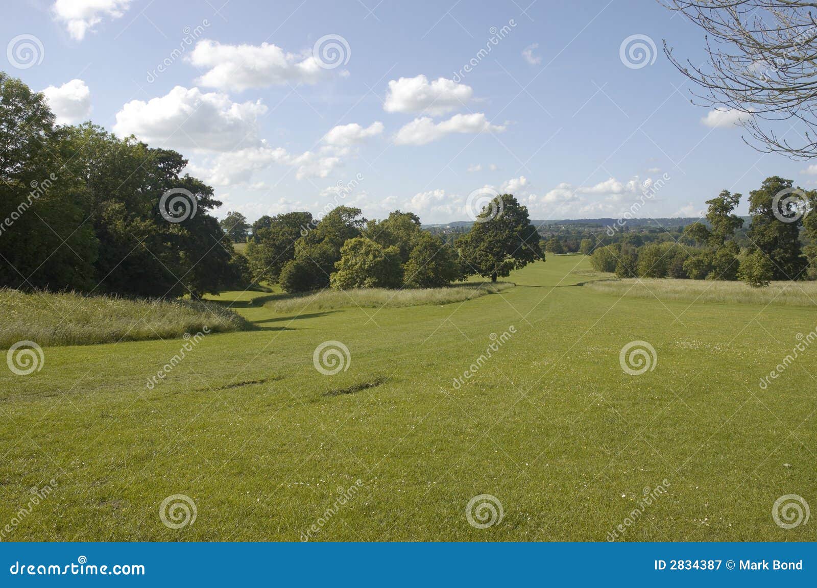 Parkland stock image. Image of lush, landscape, sunlight 2834387