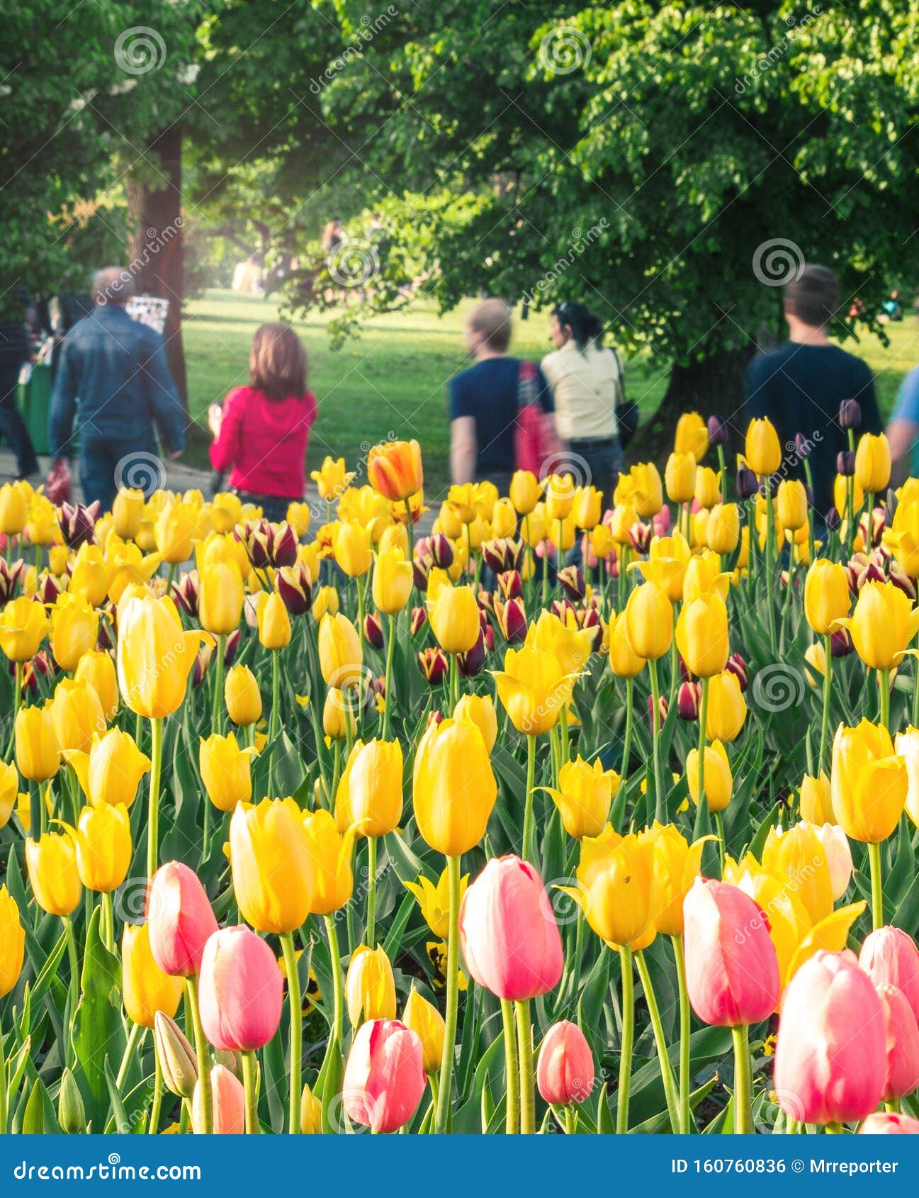 Parkland stock photo. Image of crowd, landscape, nature 160760836