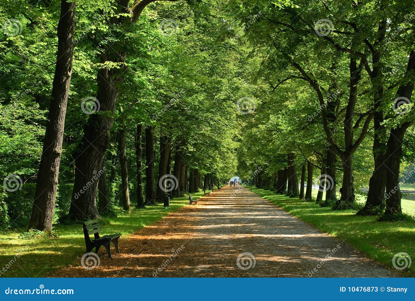 parkway