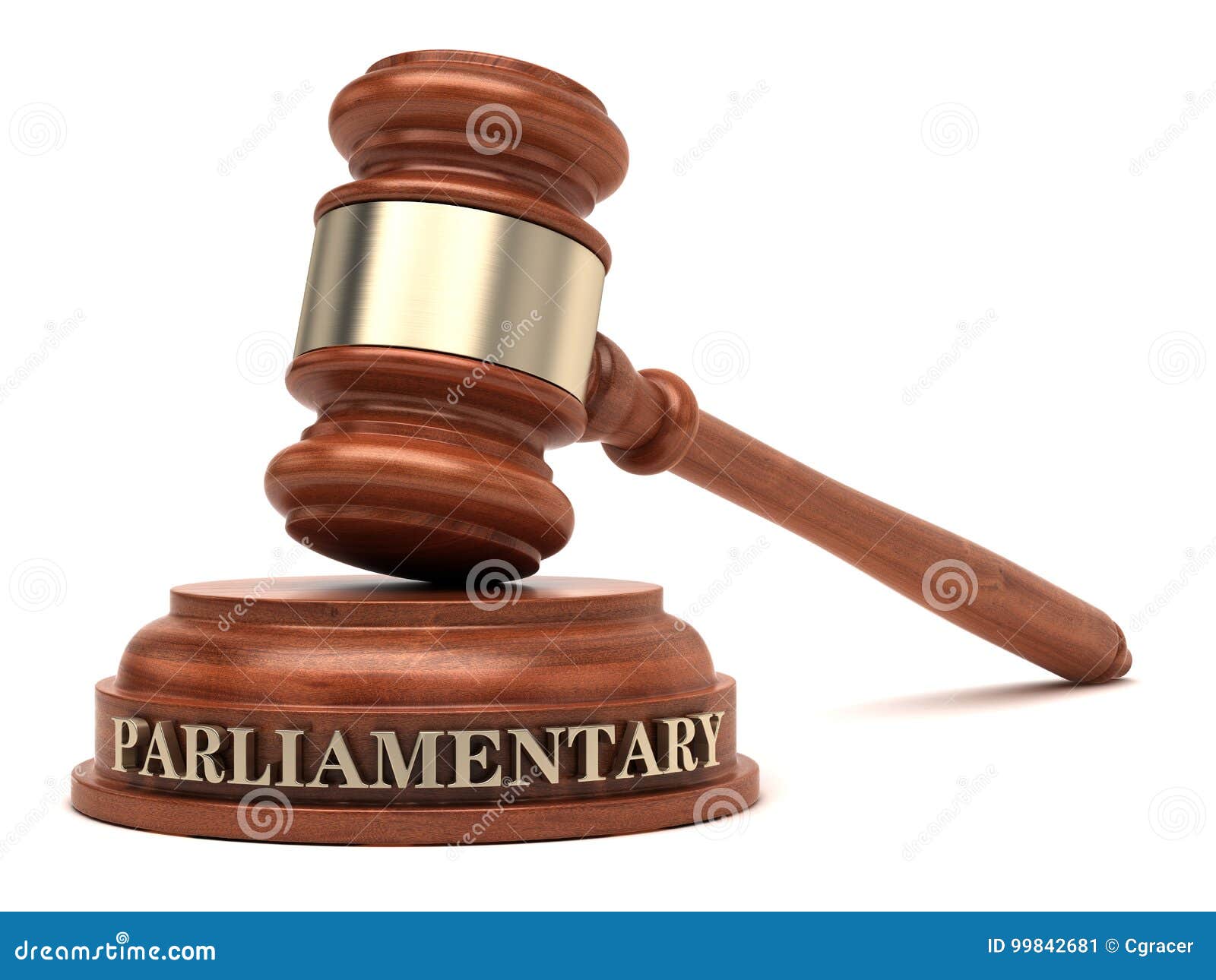 parliamentary law
