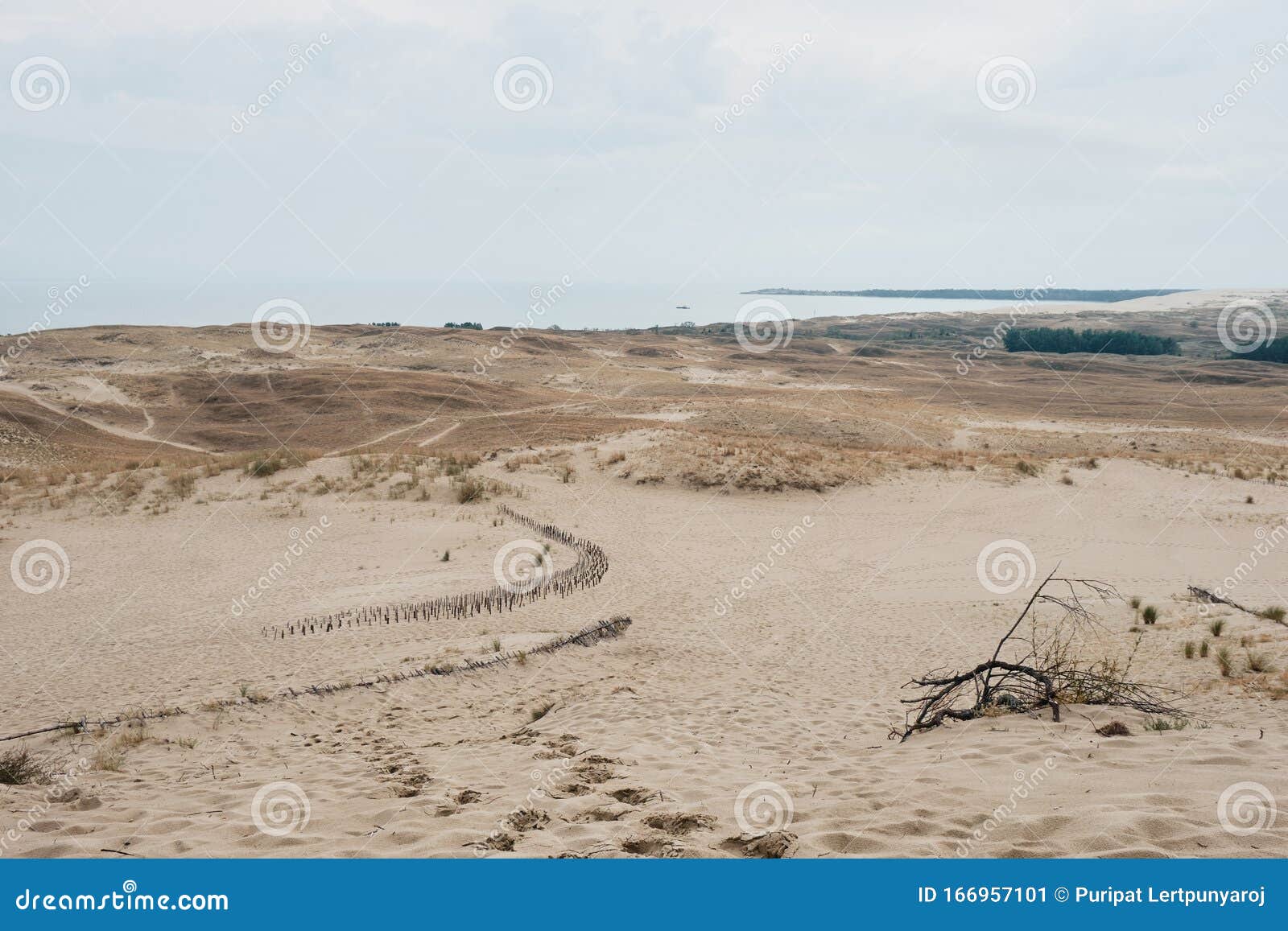 parnidis dune in nida, lituania
