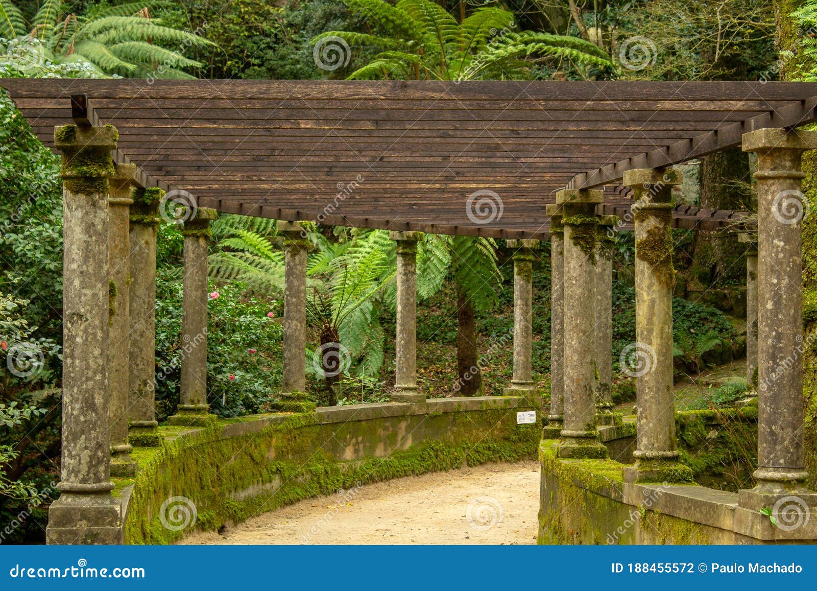 6 211 Gardens Landscaped Photos Free Royalty Free Stock Photos From Dreamstime