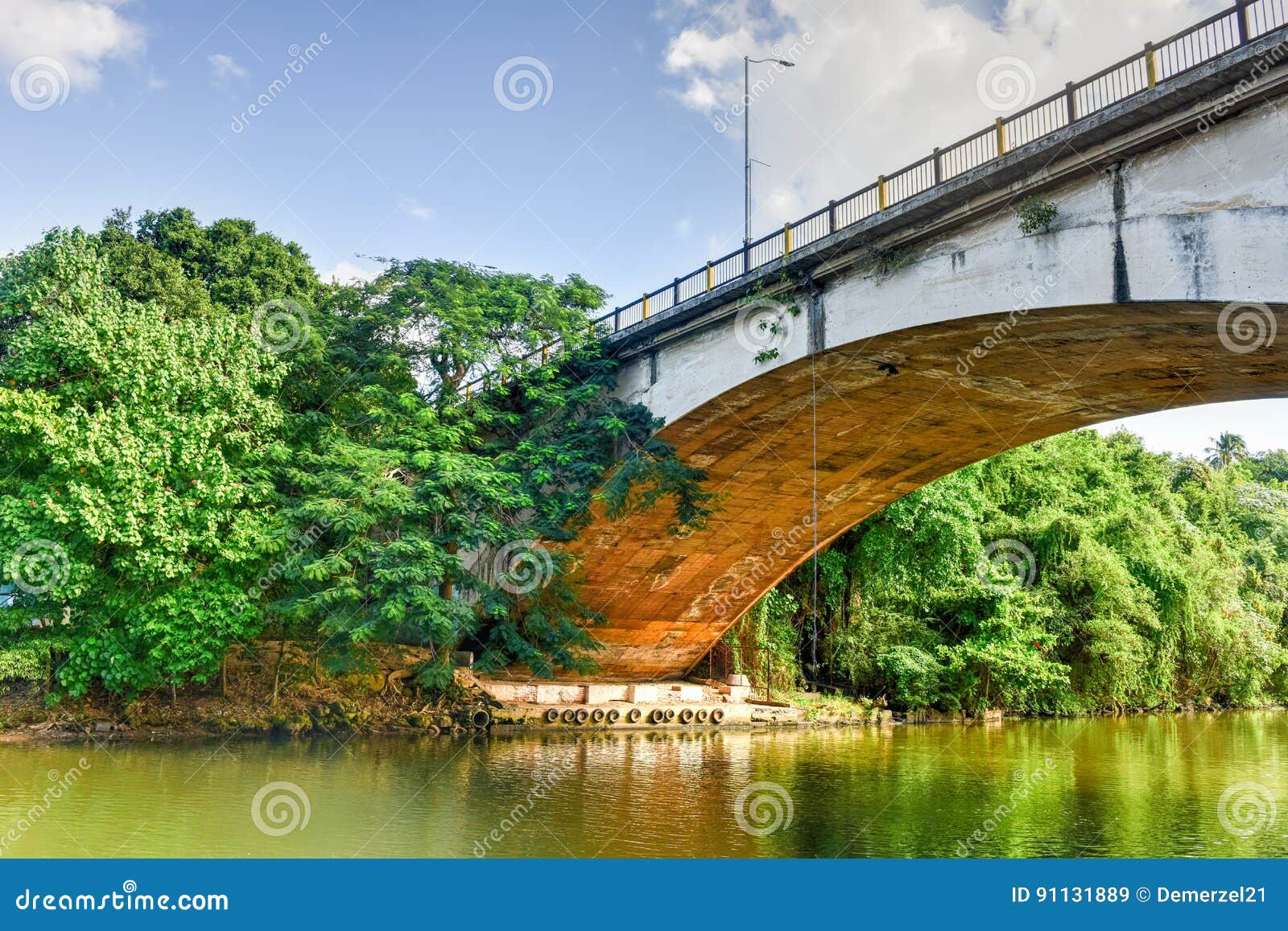 Parque De Almendares La Habana, Cuba Imagen de archivo Imagen de