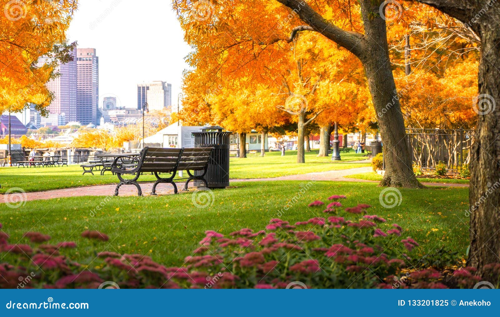 Parque do outono em Boston imagem de stock. Imagem de coberto - 133201825
