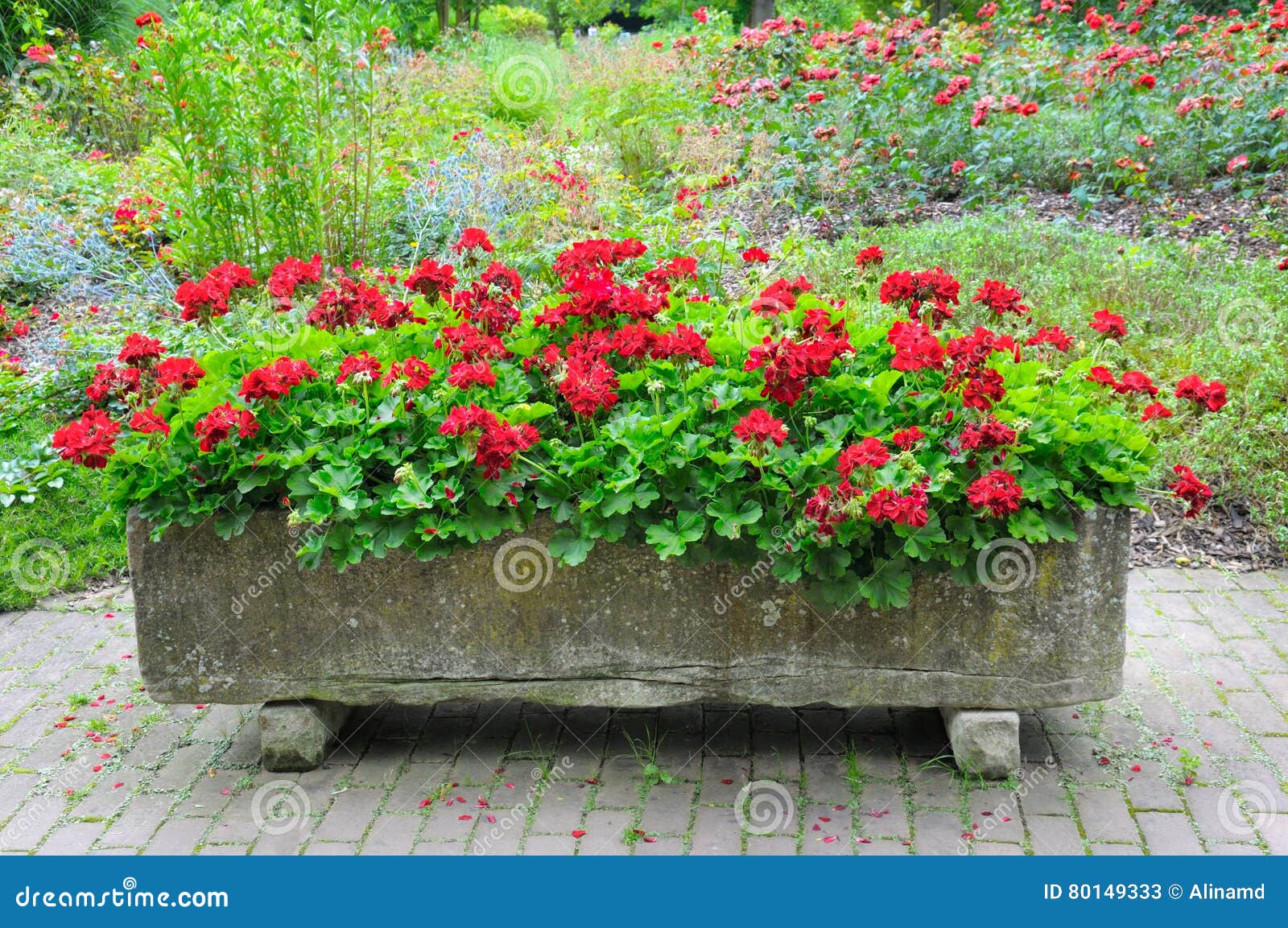 Parque Do Verão Com Canteiros De Flores Imagem de Stock - Imagem de vaso,  ajardinado: 80149333