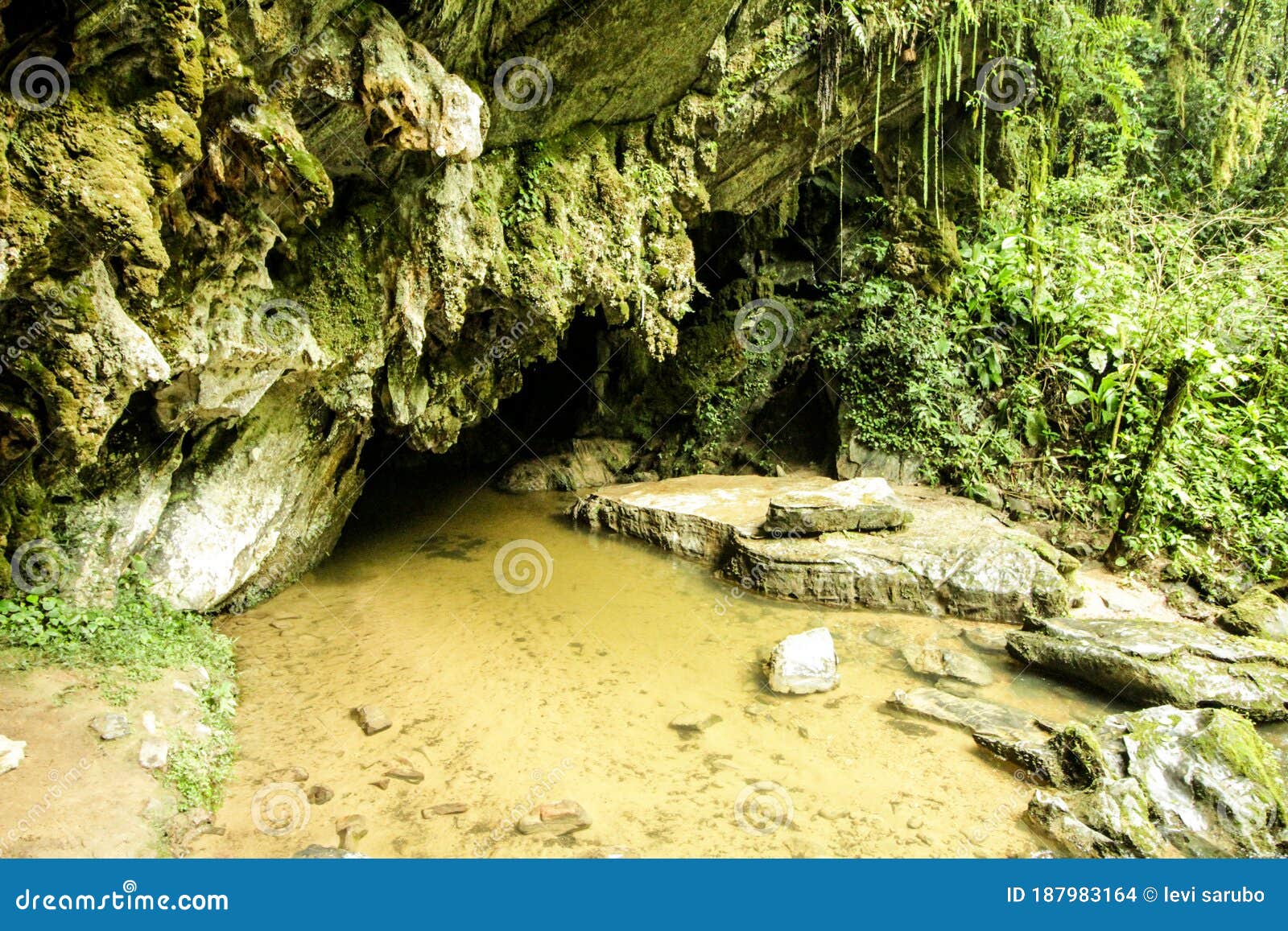 parque escologico, ÃÂ¡rea de preservaÃÂ§ÃÂ£o