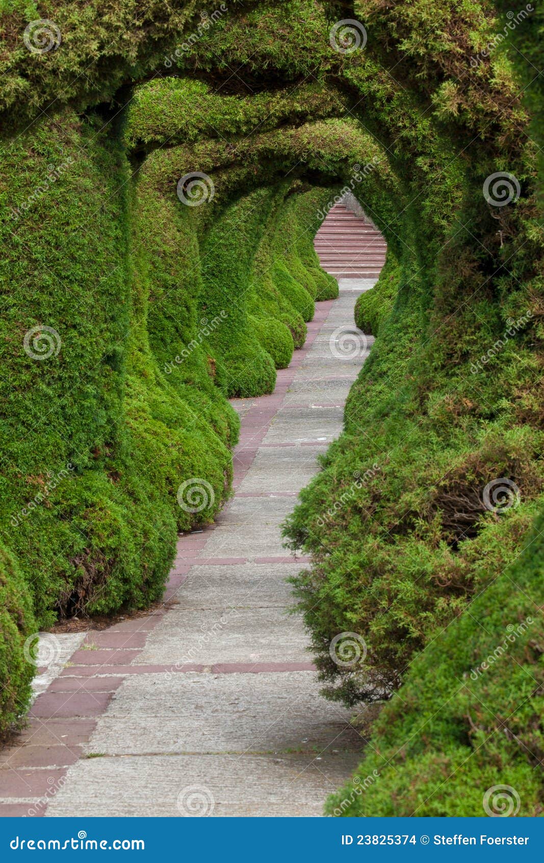 Parque Francisco Alvarado stock photo. Image of topiary - 23825374