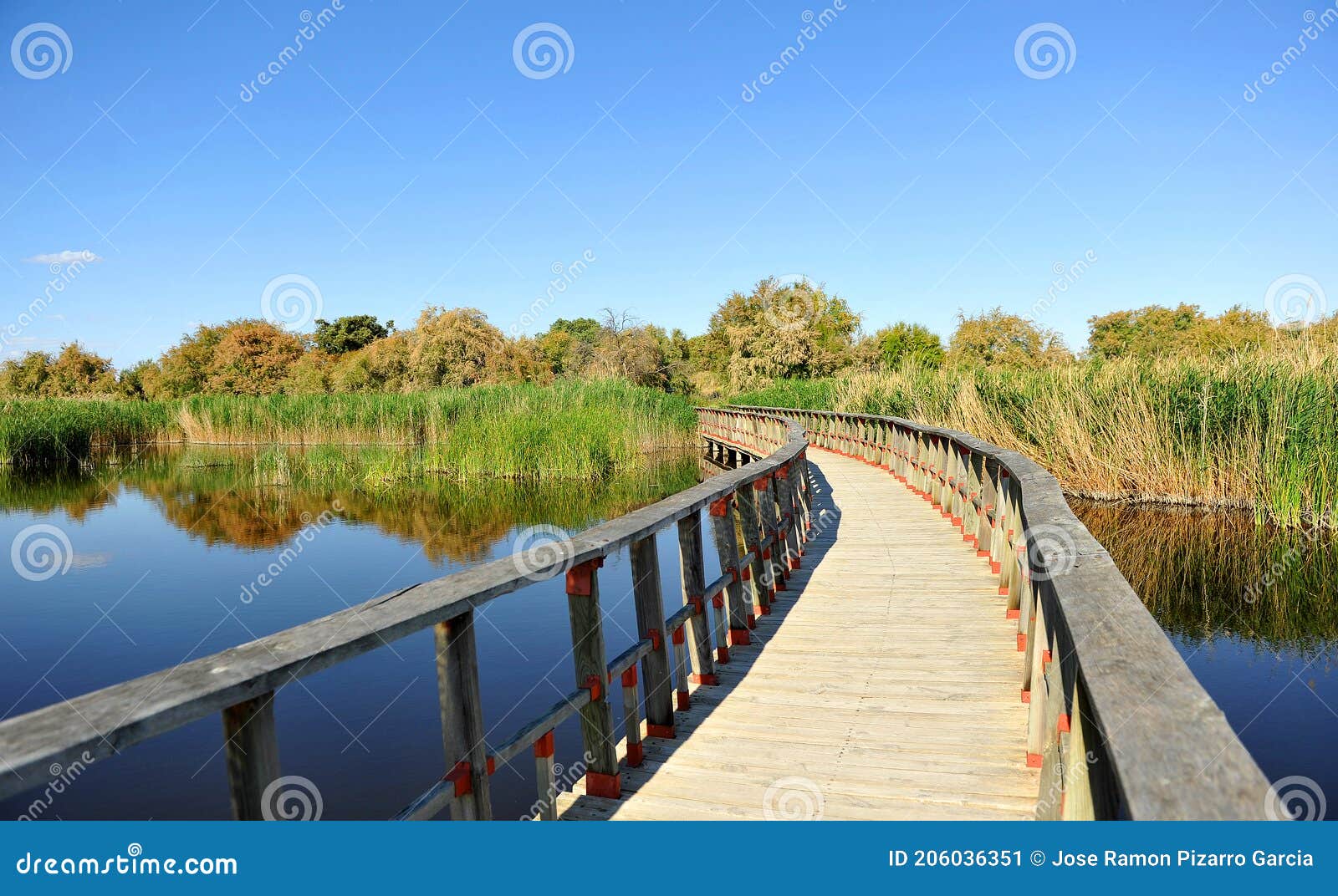 parque nacional de las tablas de daimiel, provincia de ciudad real, castilla la mancha, espaÃÂ±a