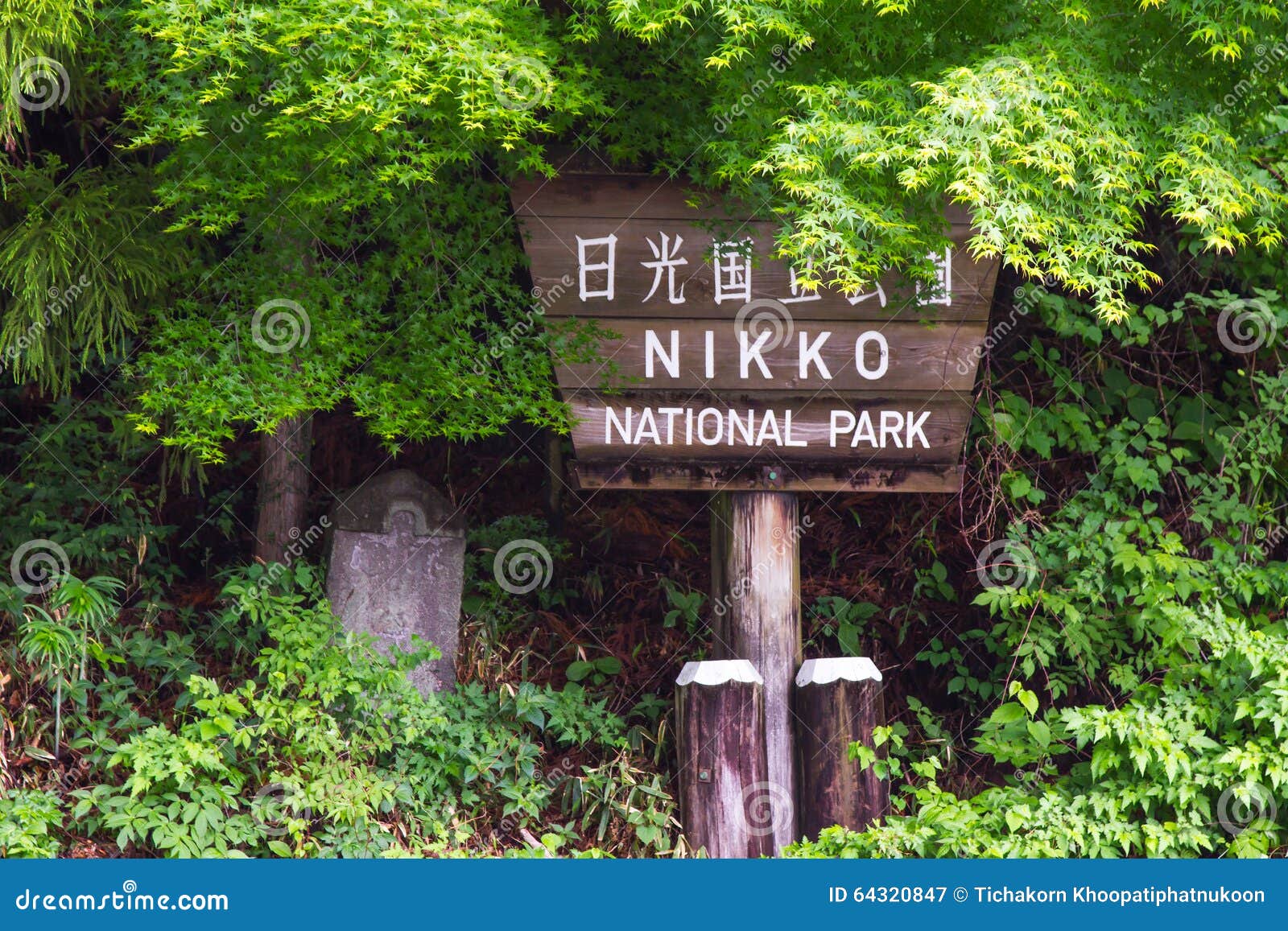 Parque Nacional De Nikko Tochigi Japon Imagen De Archivo Imagen De Tokio Shinto