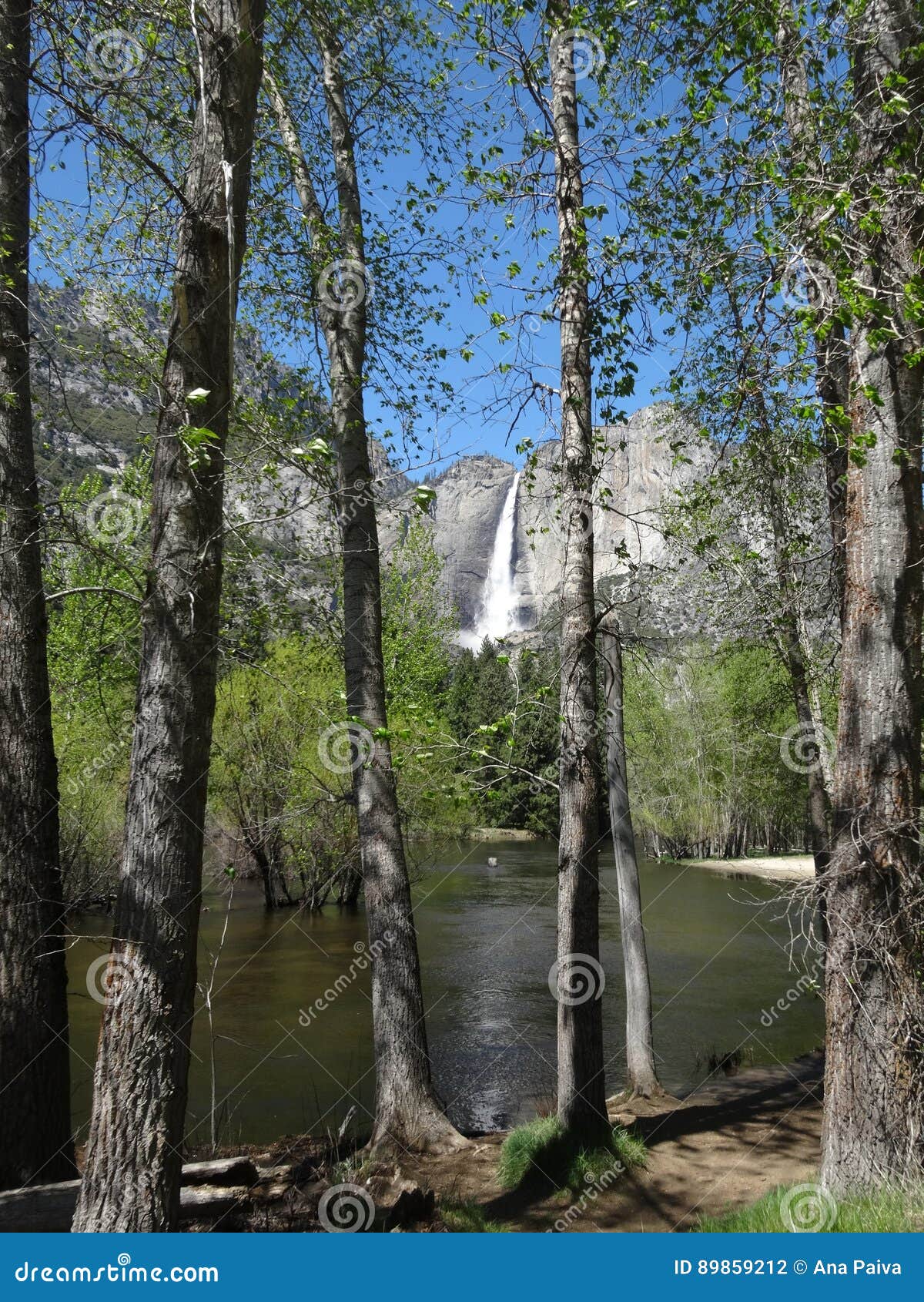 PARQUE NACIONAL DE YOSEMITE - CALIFORNIA - EUA - VISTAS INCRIVEIS