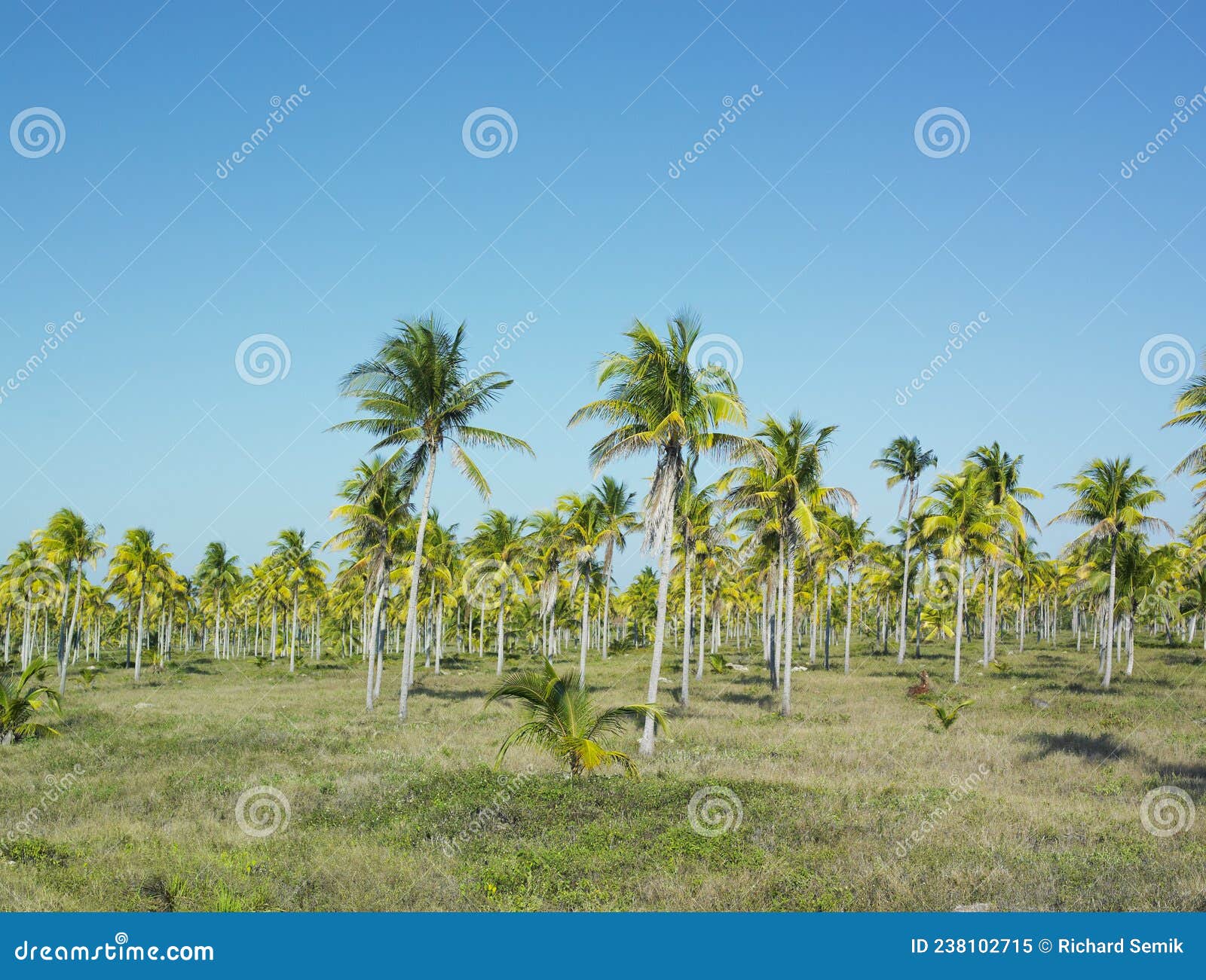 parque nacional desembarco del granma, granma province, cuba