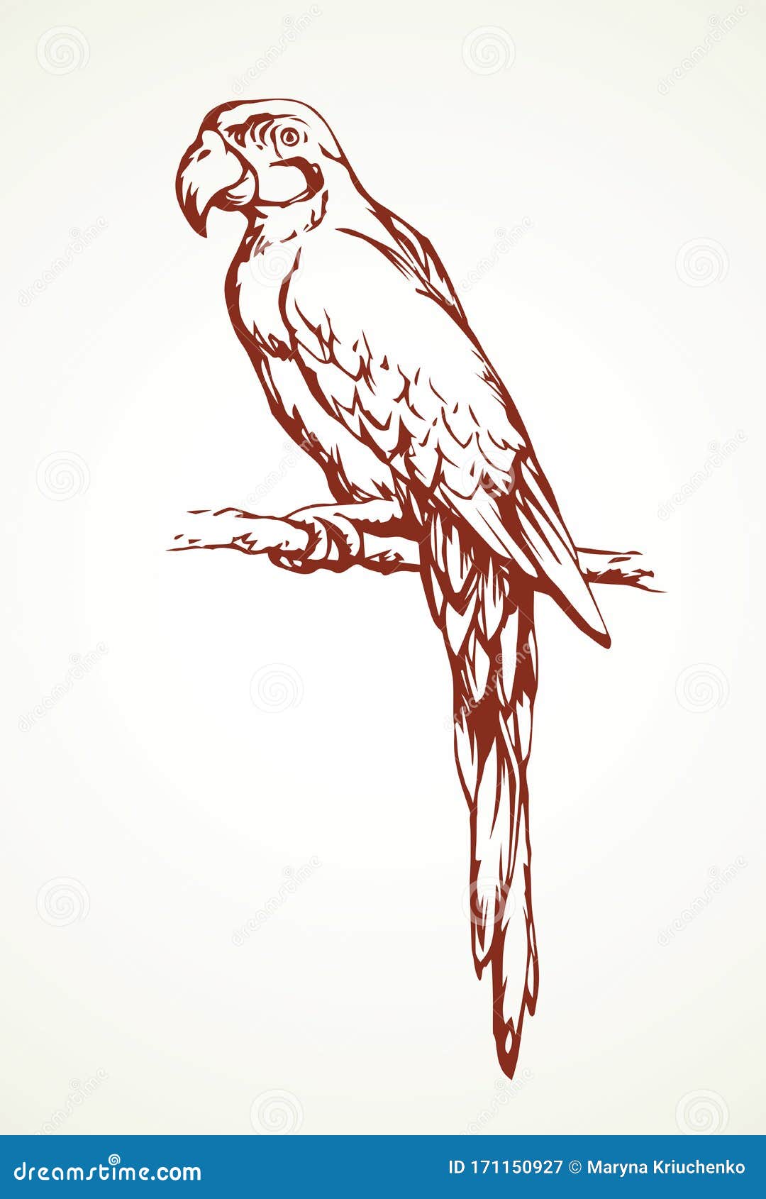 Parrot Bird Icon. Vector Drawing Stock Vector - Illustration of ...