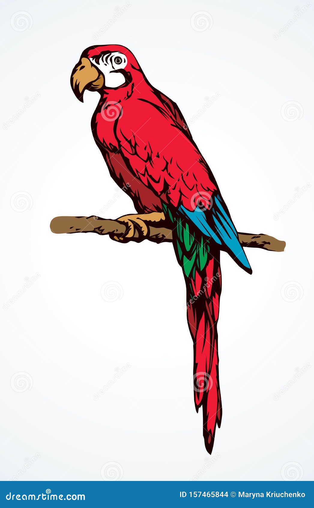 Parrot Bird Icon. Vector Drawing Stock Vector - Illustration of ...