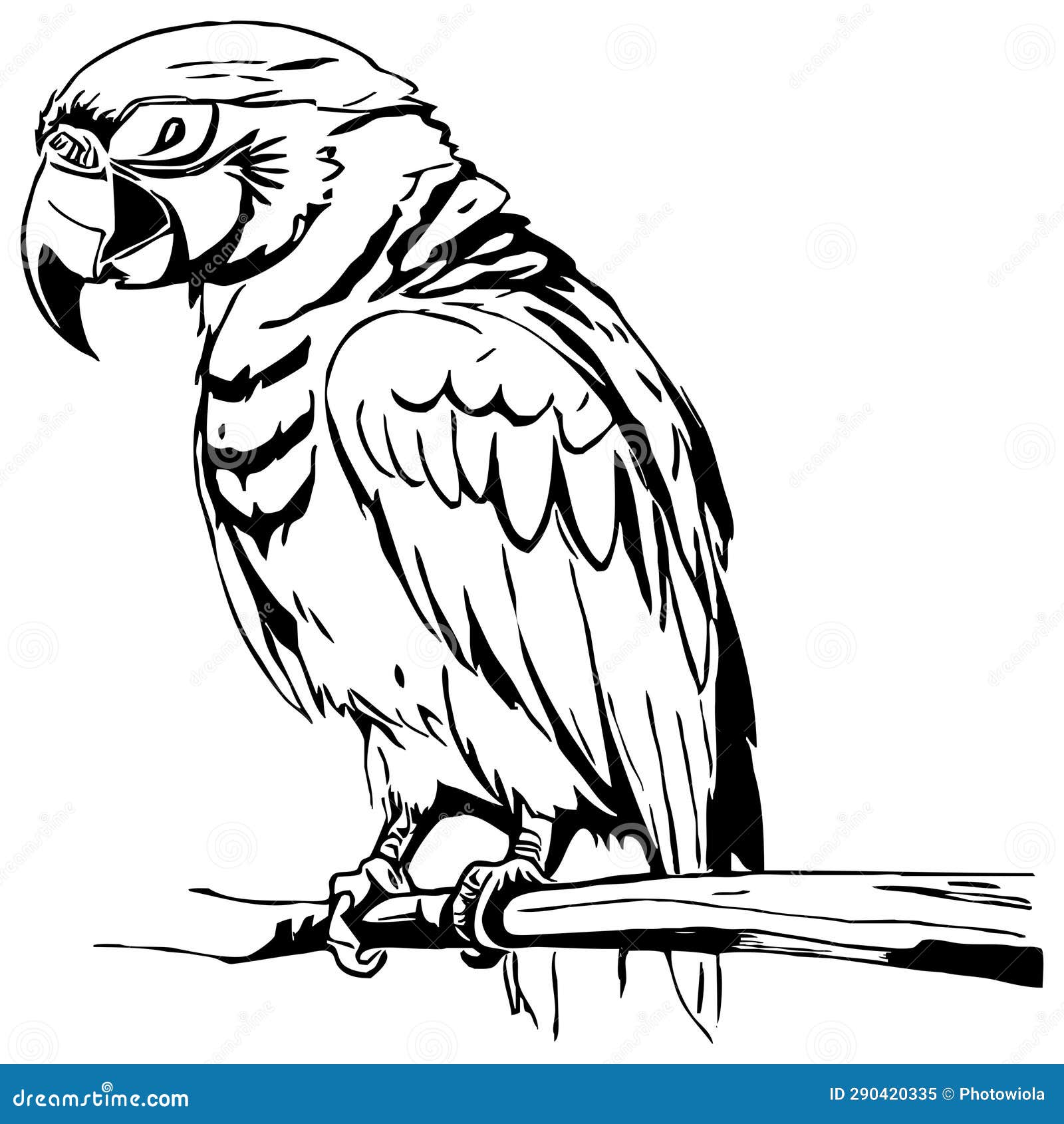 Parrot . Black and White Graphics. Logo Design for Use in Graphics ...