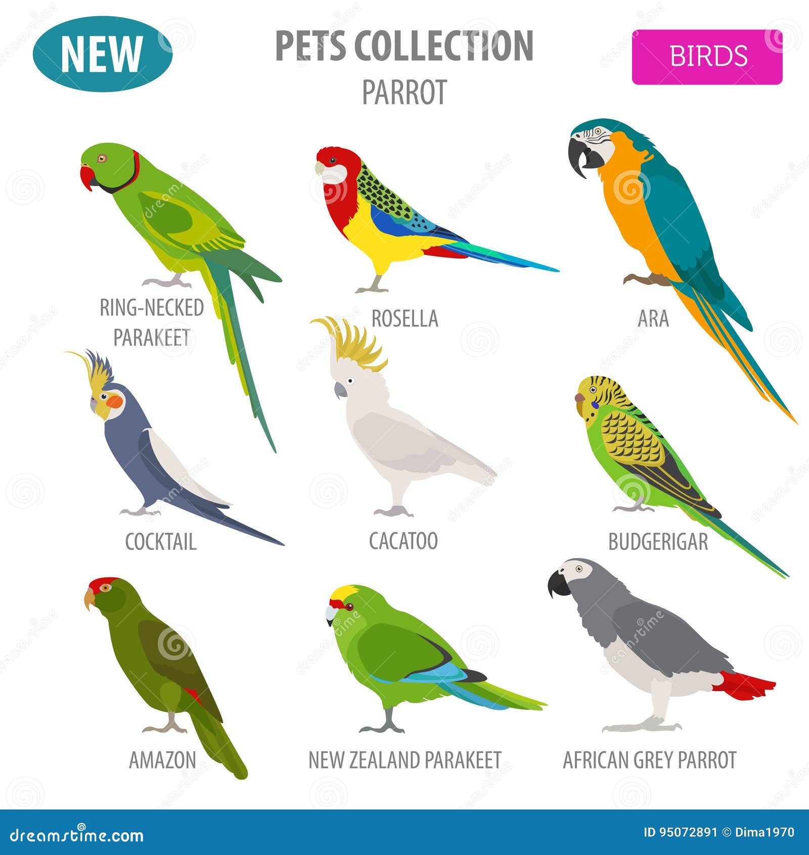 Bird breeds on sale