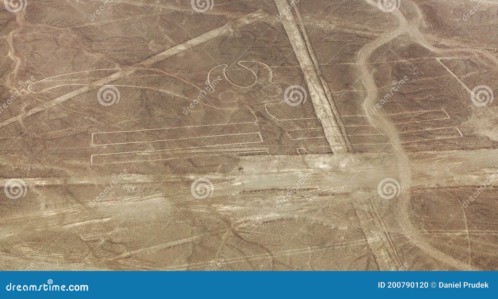 parrot geoglyph, nazca or nasca mysterious lines, peru