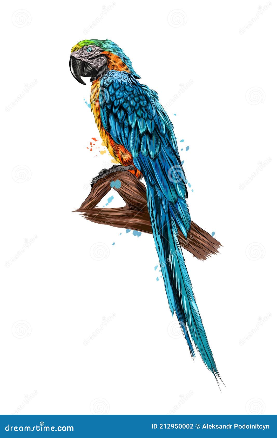 Parrot Macaw from a Splash of Watercolor, Colored Drawing, Realistic ...