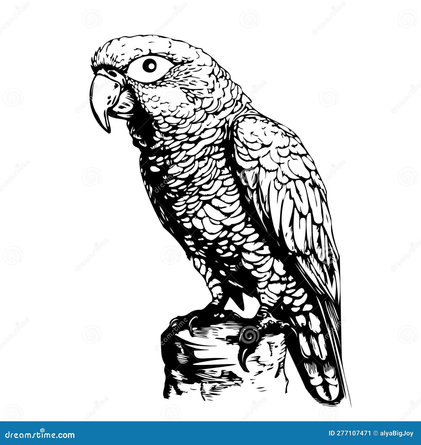 Parrot Sitting Hand Drawn Sketch Vector Illustration Stock Illustration ...