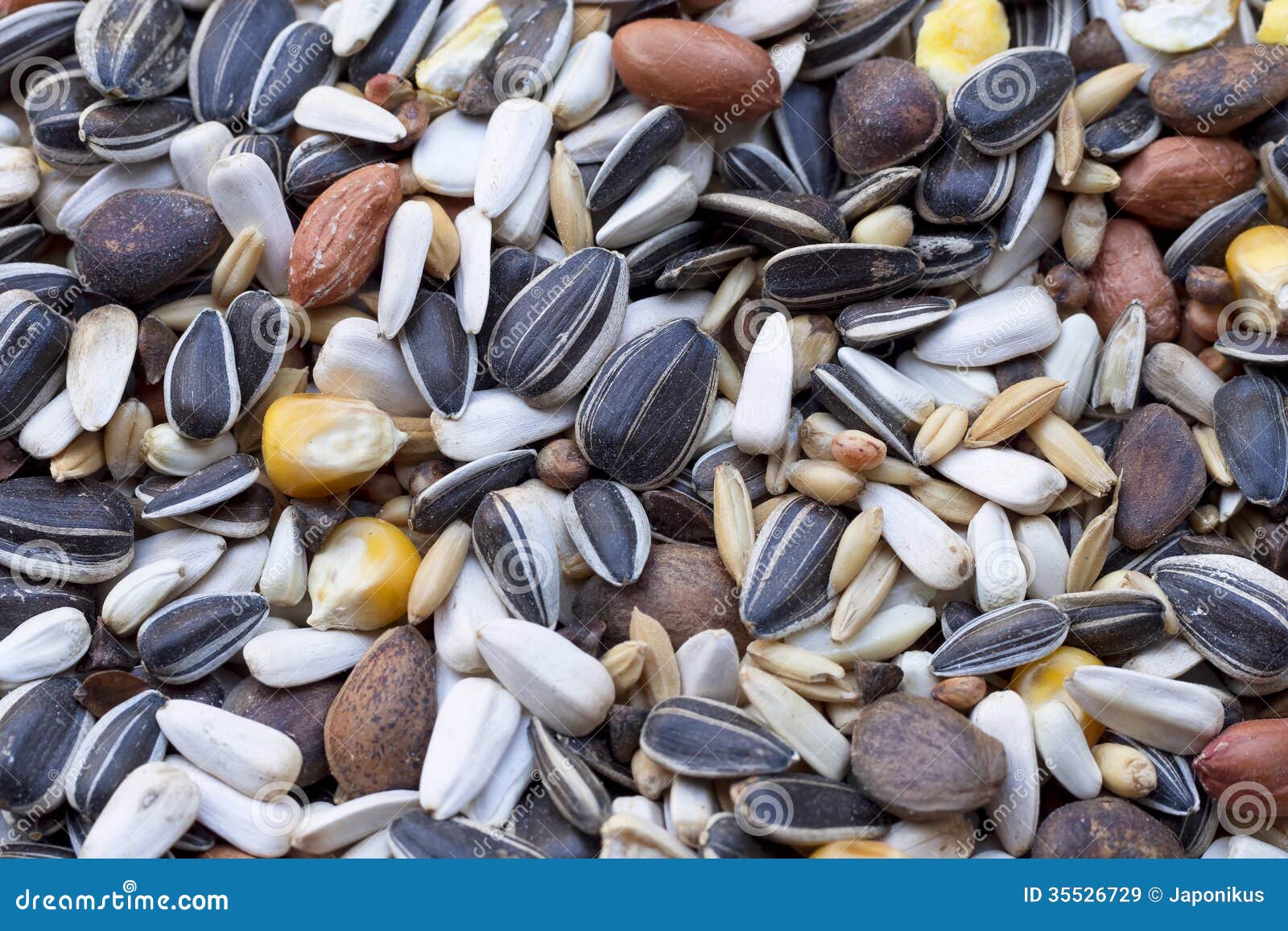 Parrots seed stock image. Image of food, healthy, beige 35526729