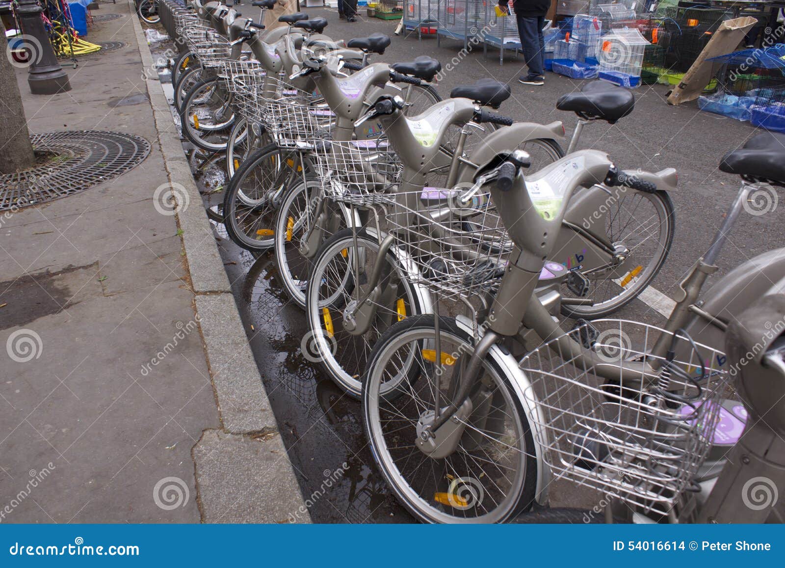 green city cycles
