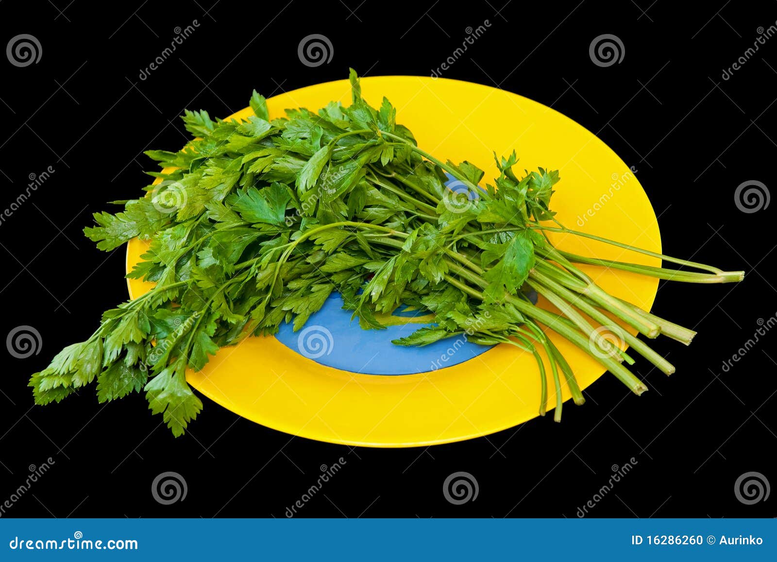 Parsley stock photo. Image of parsley, relish, isolated 16286260