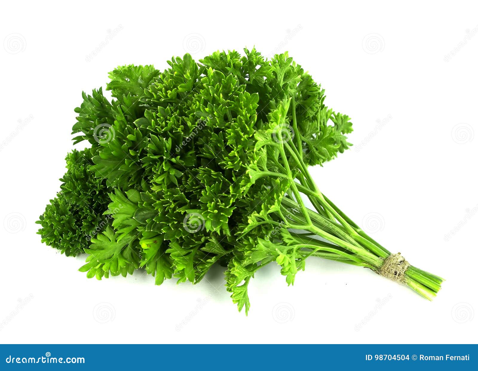 parsley bunch on white background