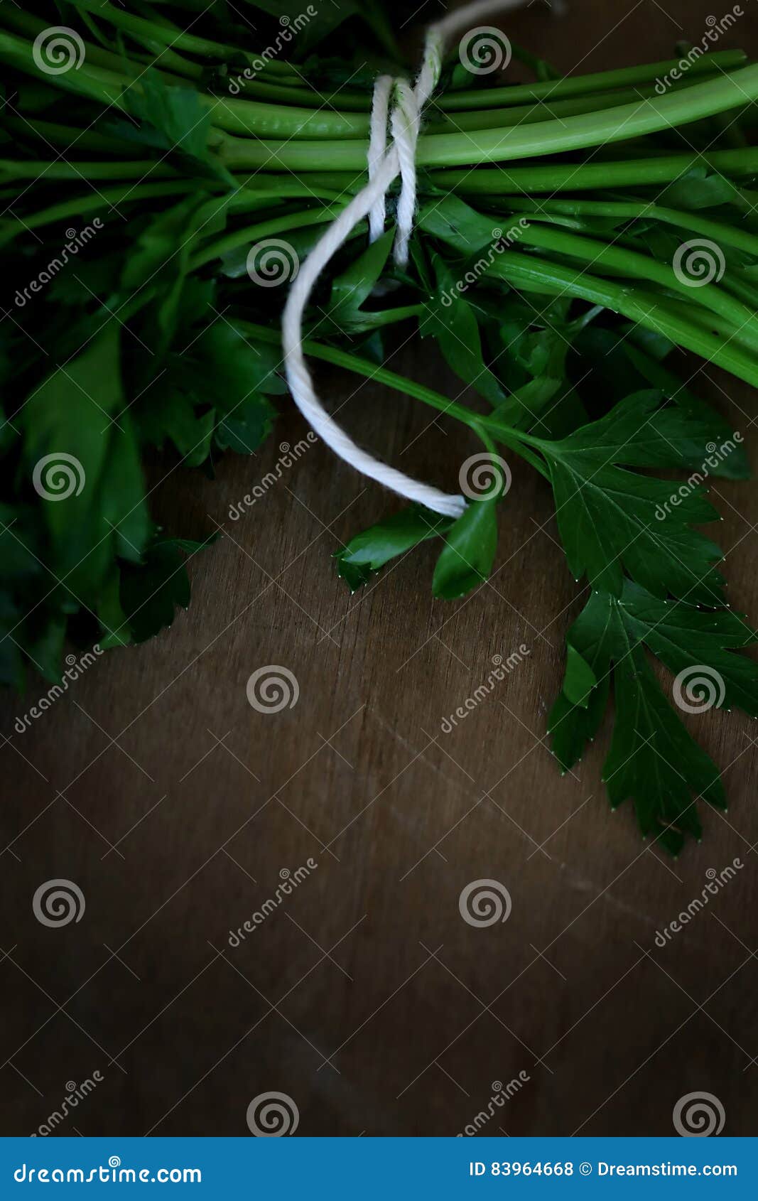 Italian Parsley bunch stock photo. Image of leaf, bunch 83964668