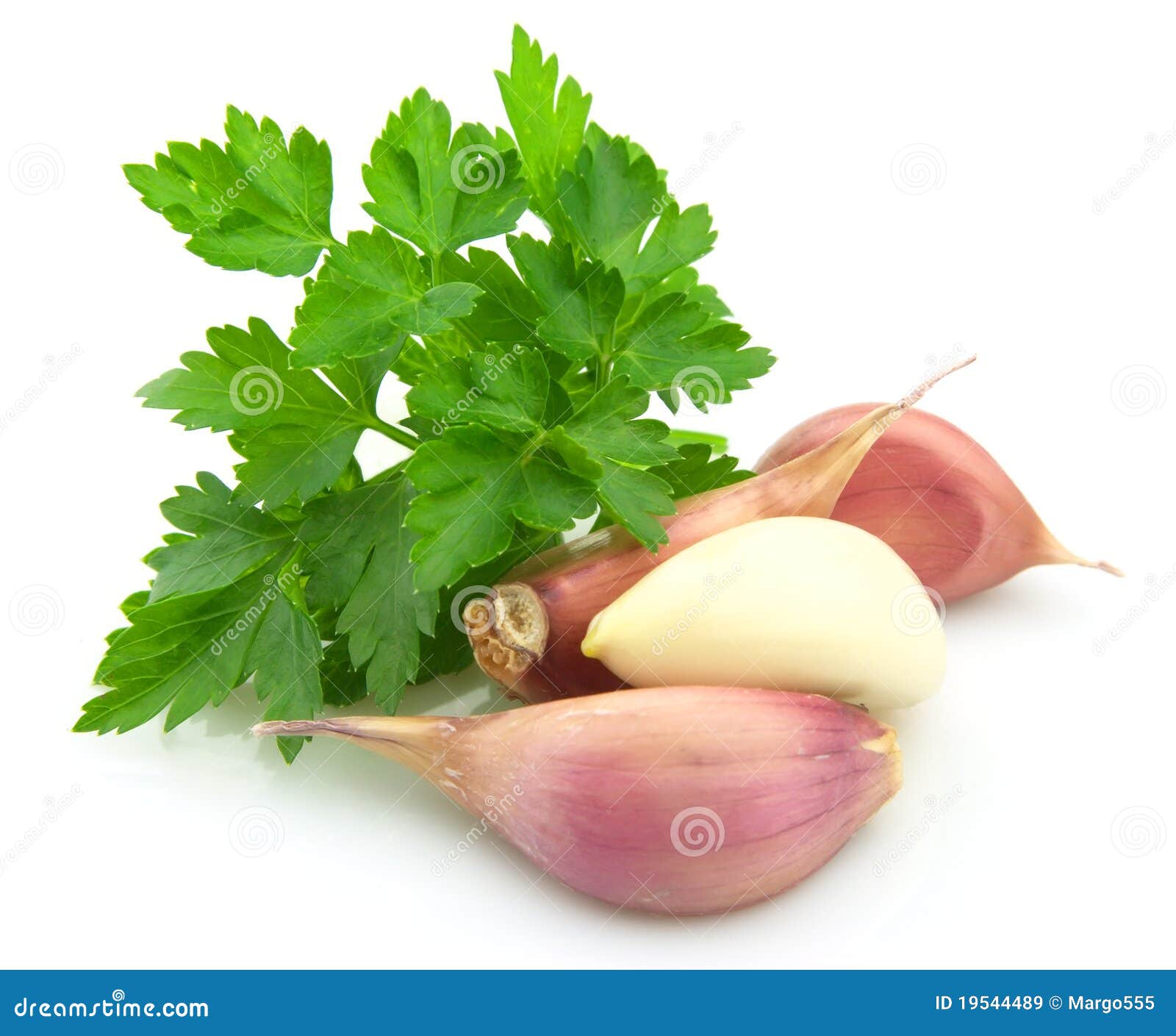 Parsley and garlic stock image. Image of fresh, vitamins 19544489